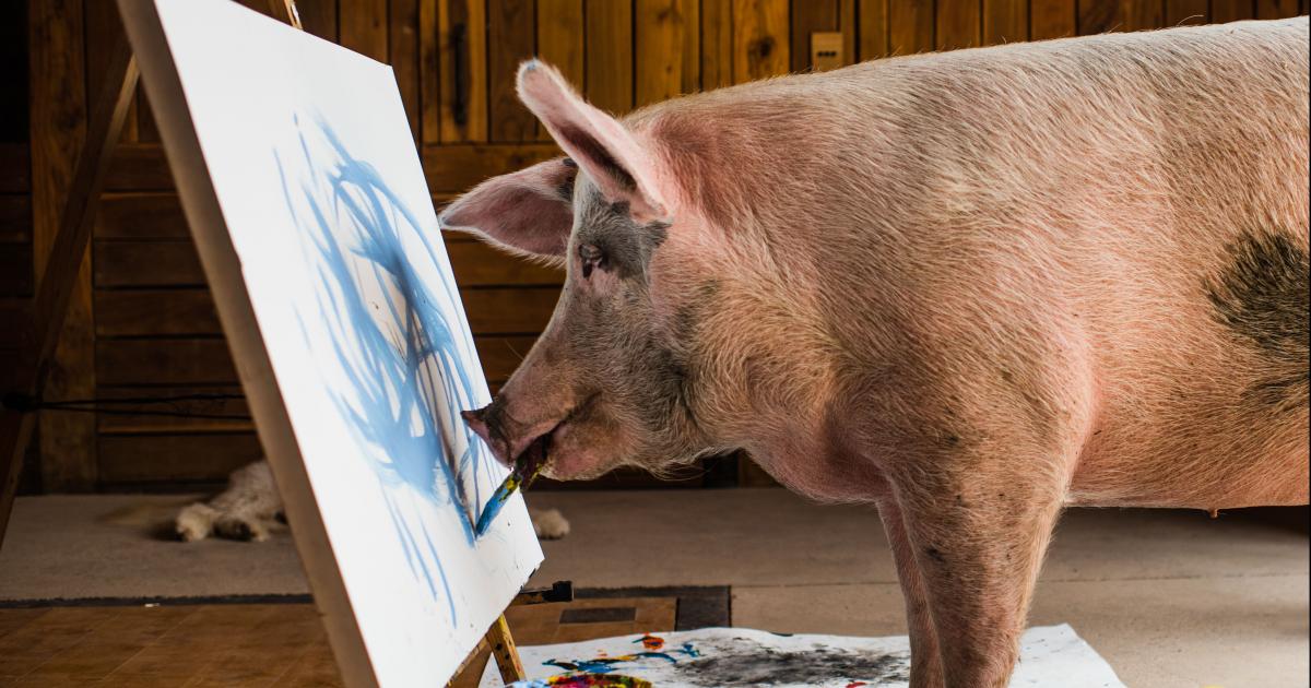 Step Aside Pablo Meet Pigcasso Beautiful News