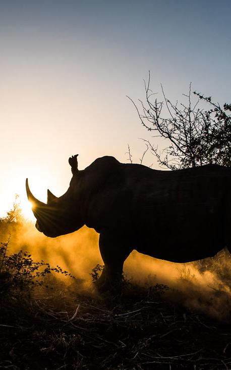 The award-winning photographer capturing the beauty of nature and the effect of humans on it