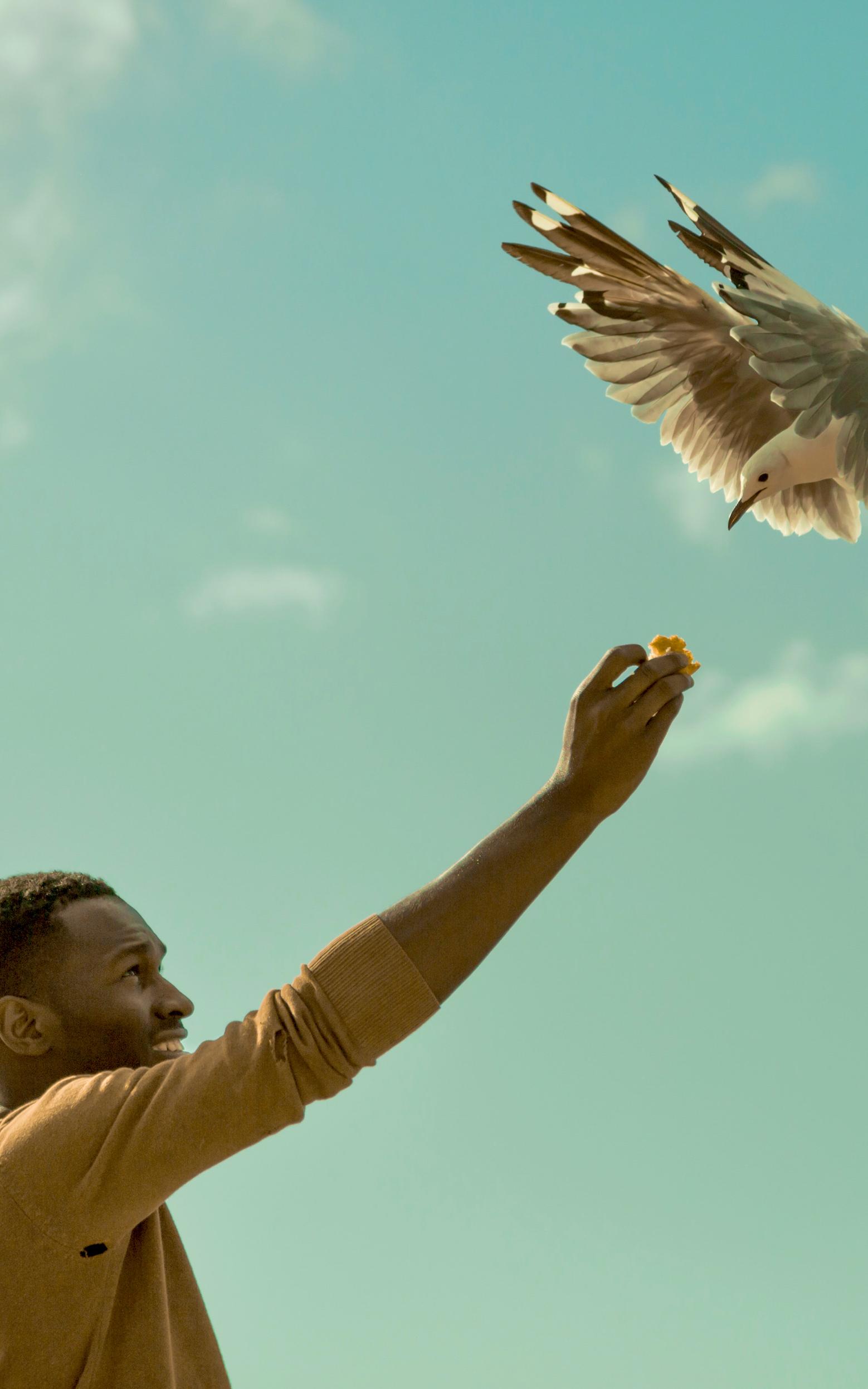 Man feeding bird