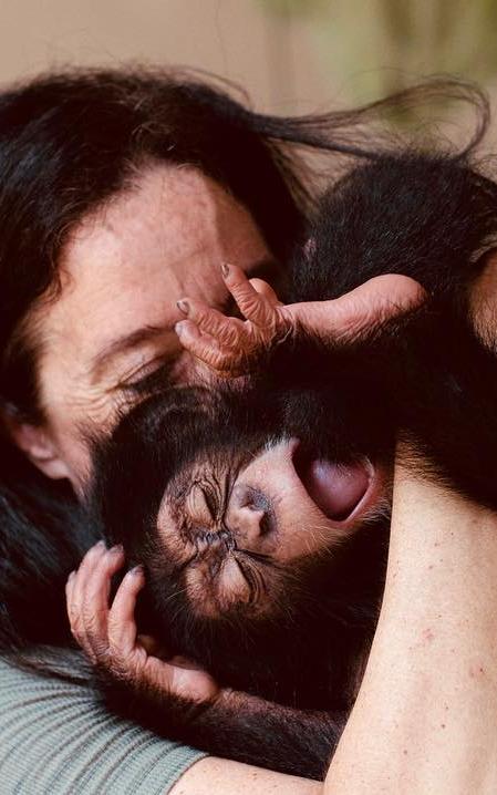 lady with chimp. 