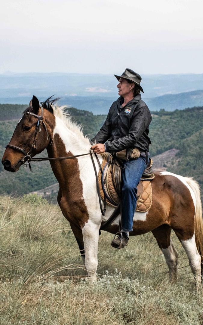 Man riding horses