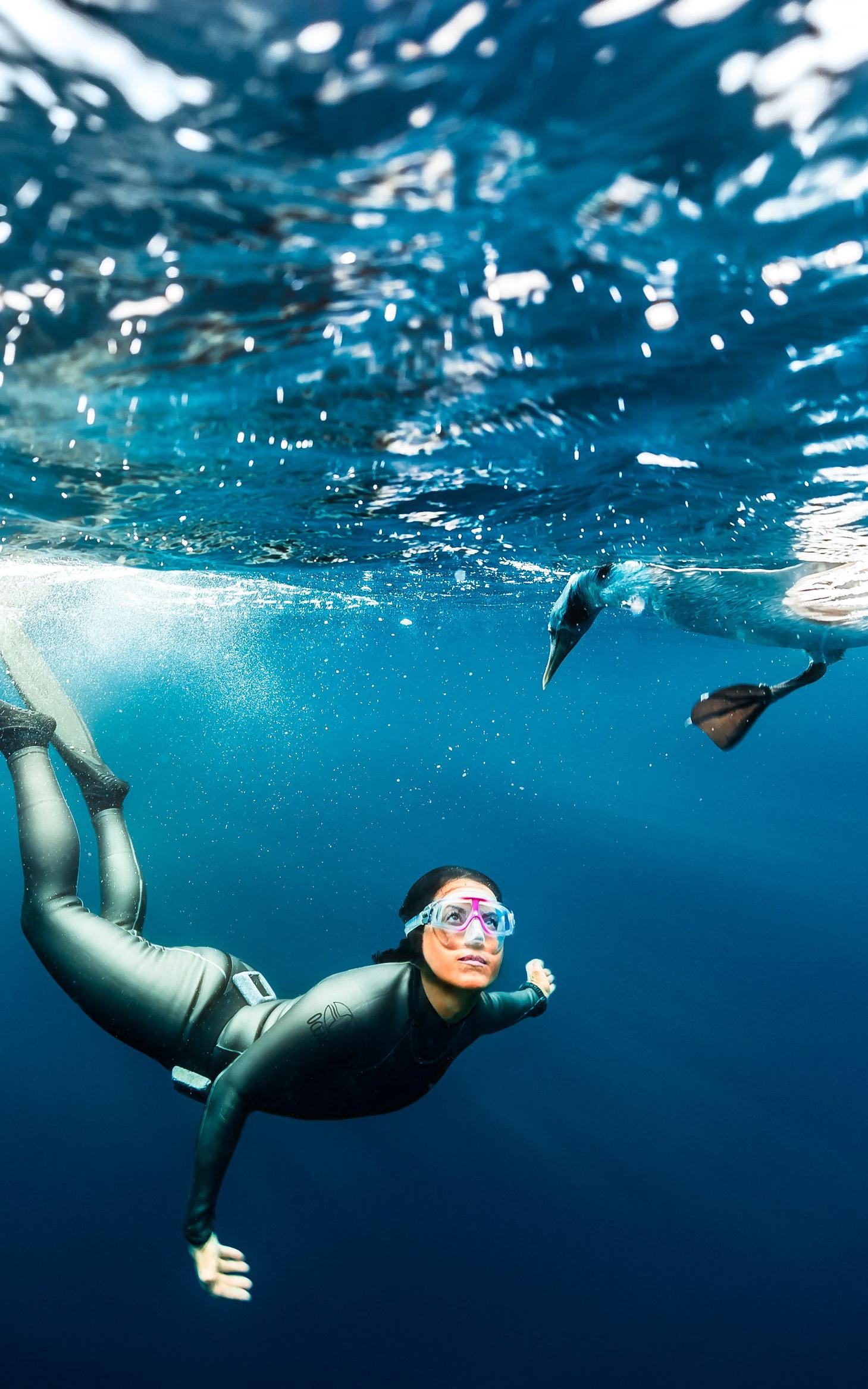 The ocean warrior, bring the students to discover the importance of ocean.