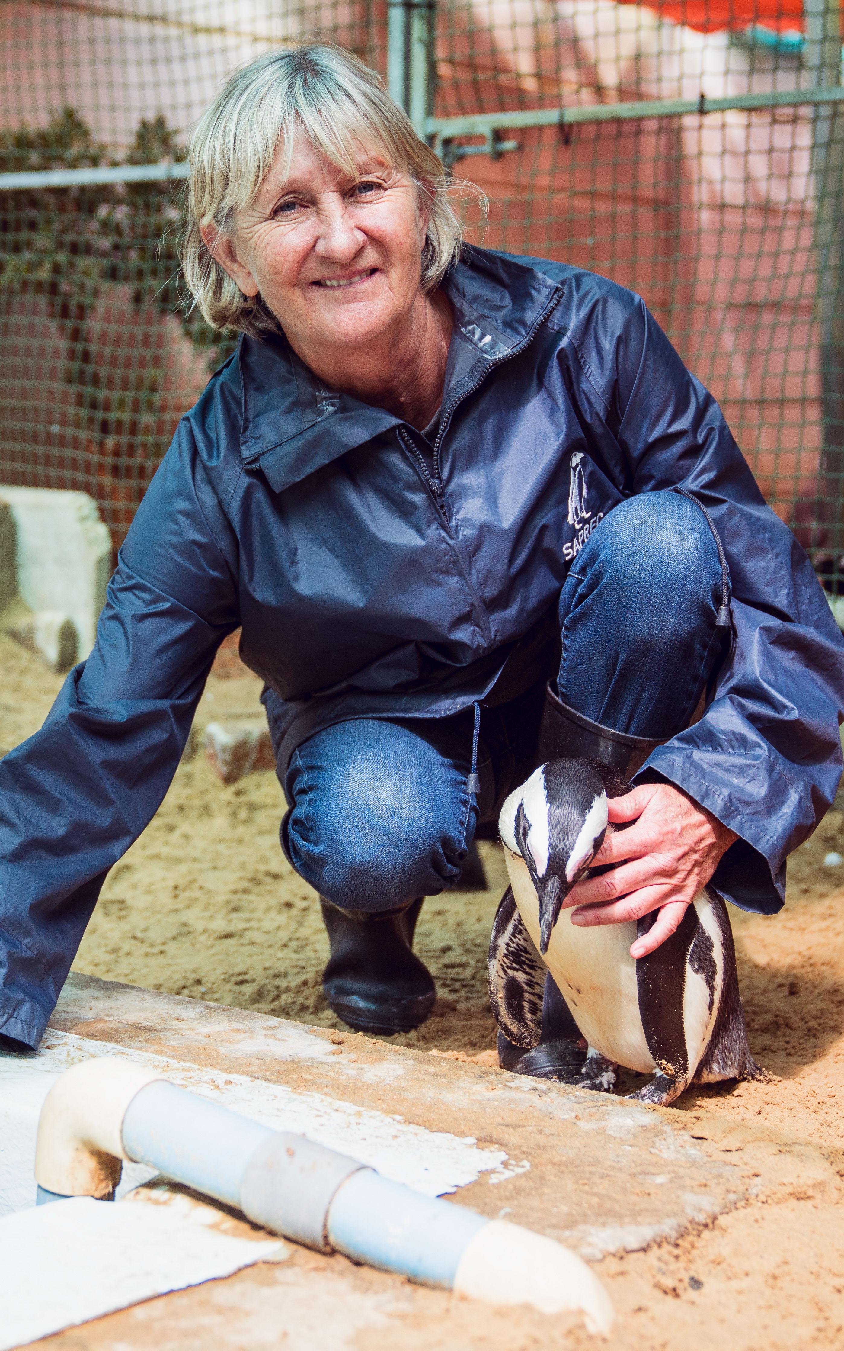 woman with penguins. 