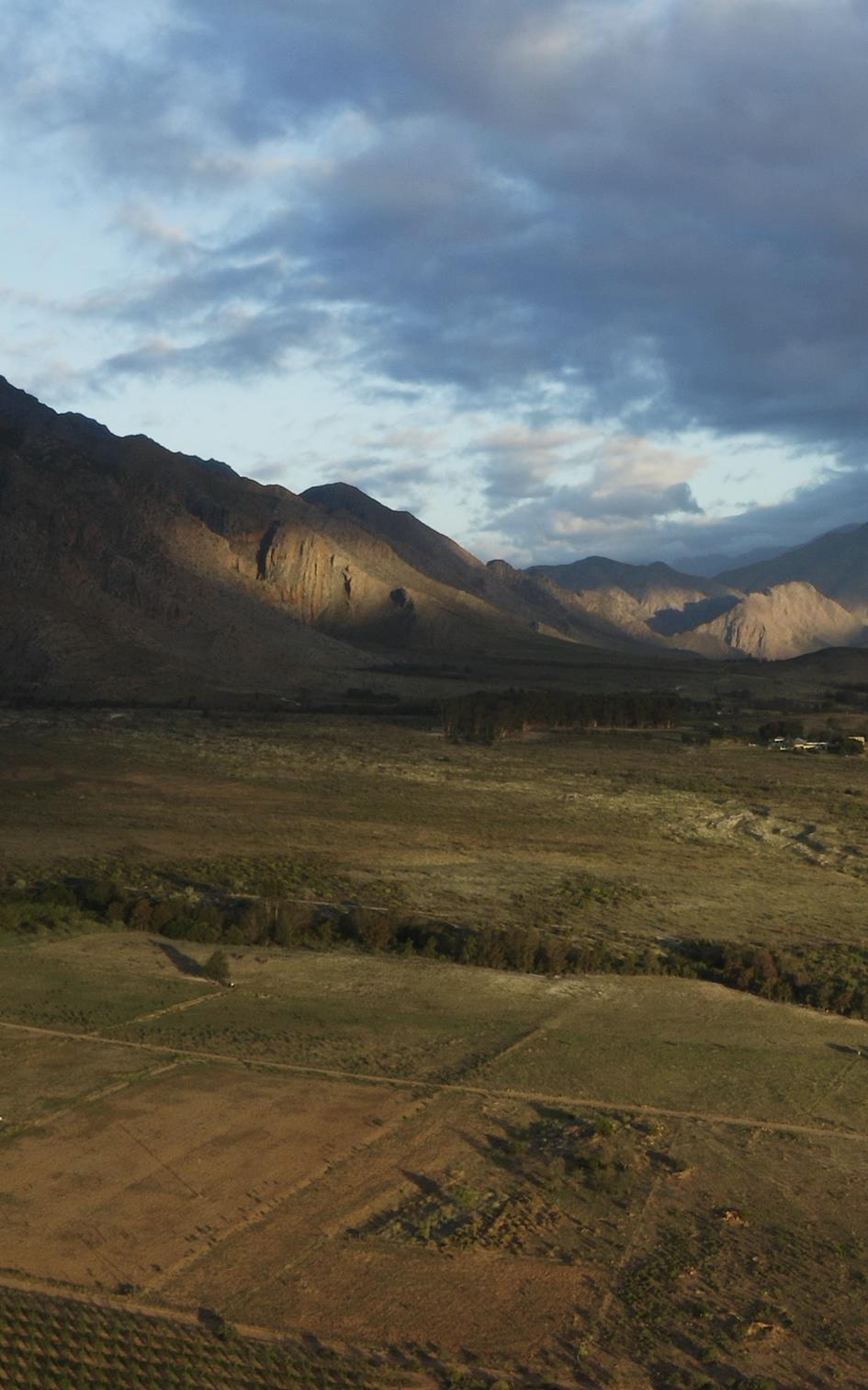 Landscape.