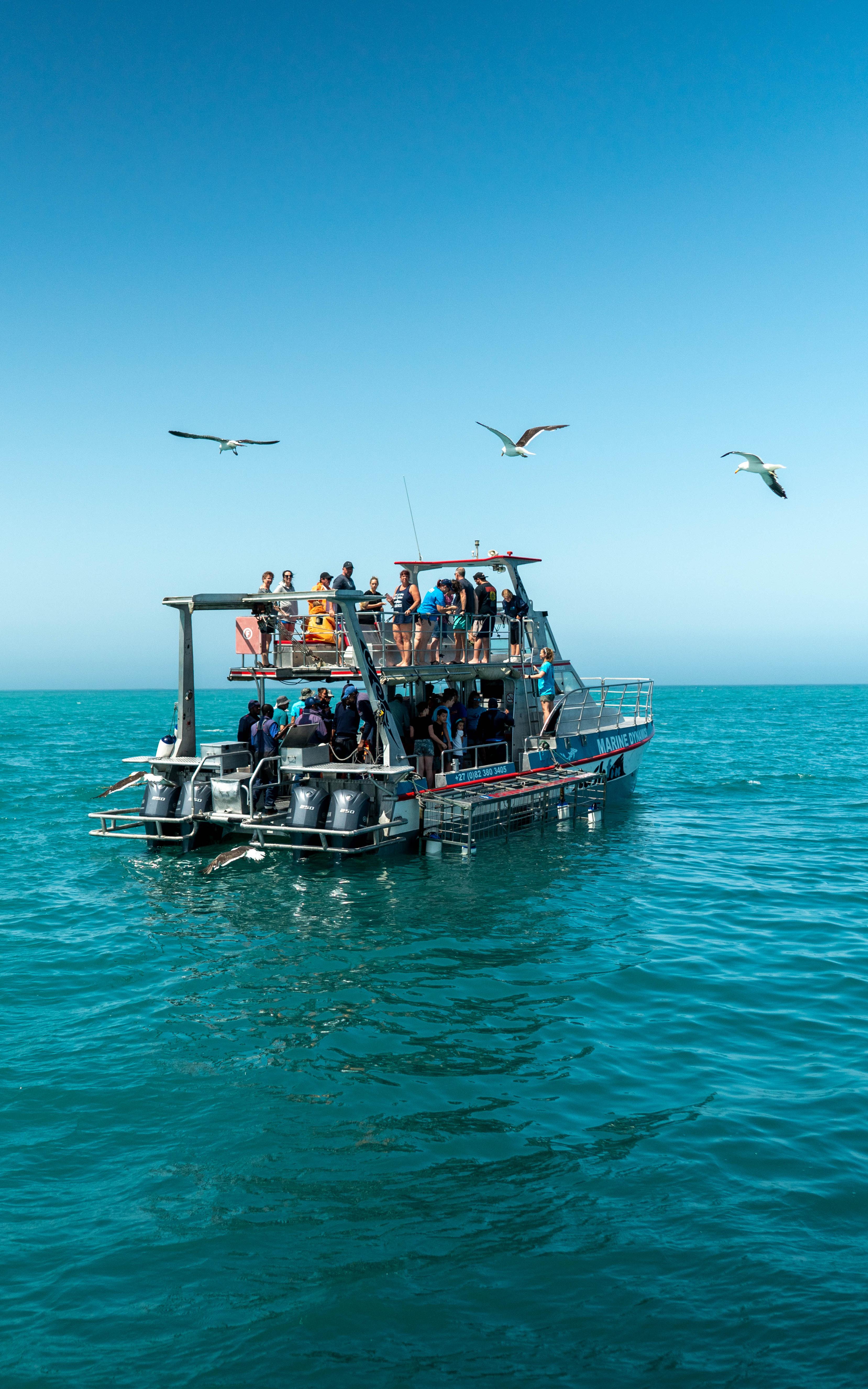 Boat in sea.