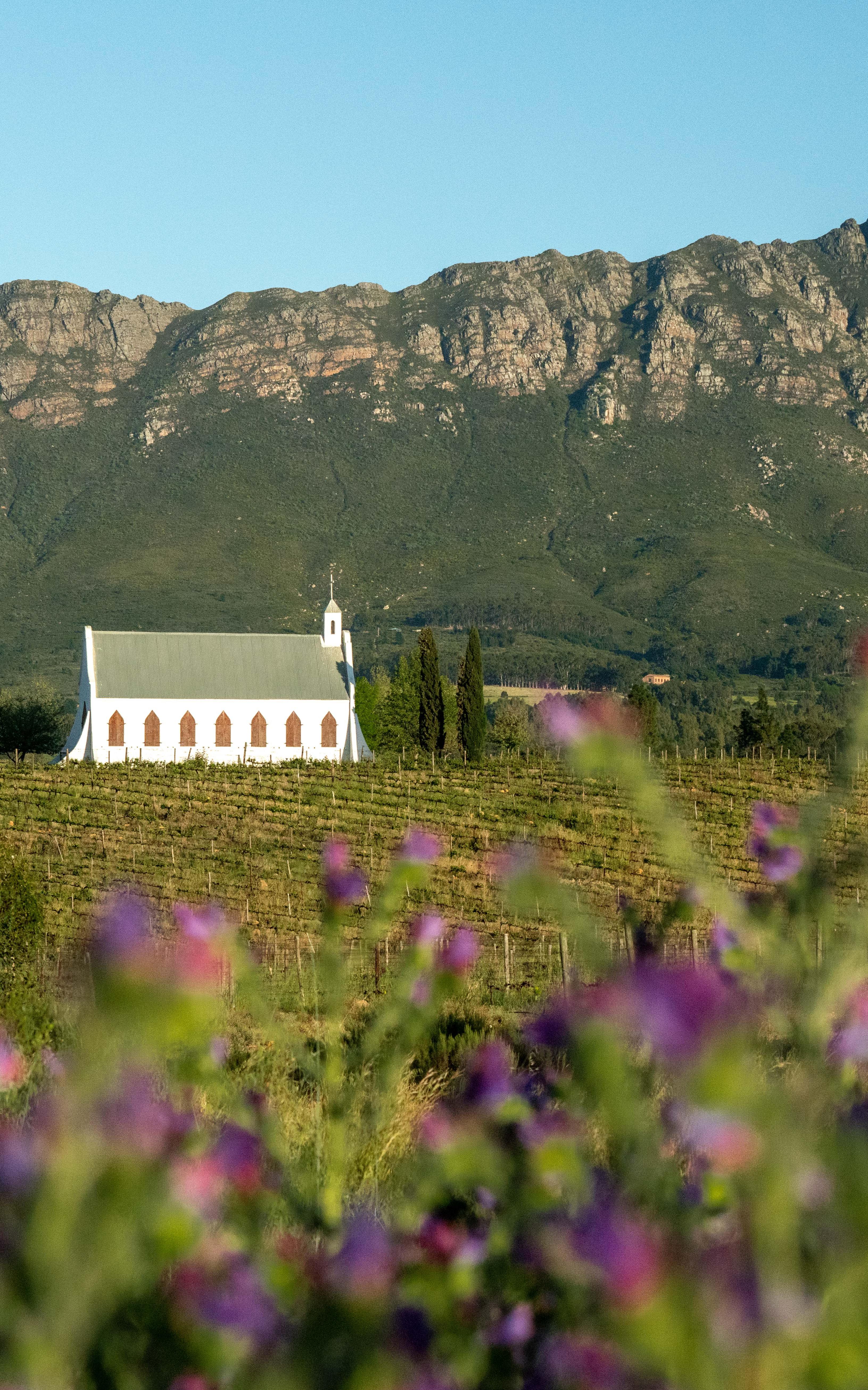 A taste of history on Cape Town between Riebeek Kasteel and Tulbagh.