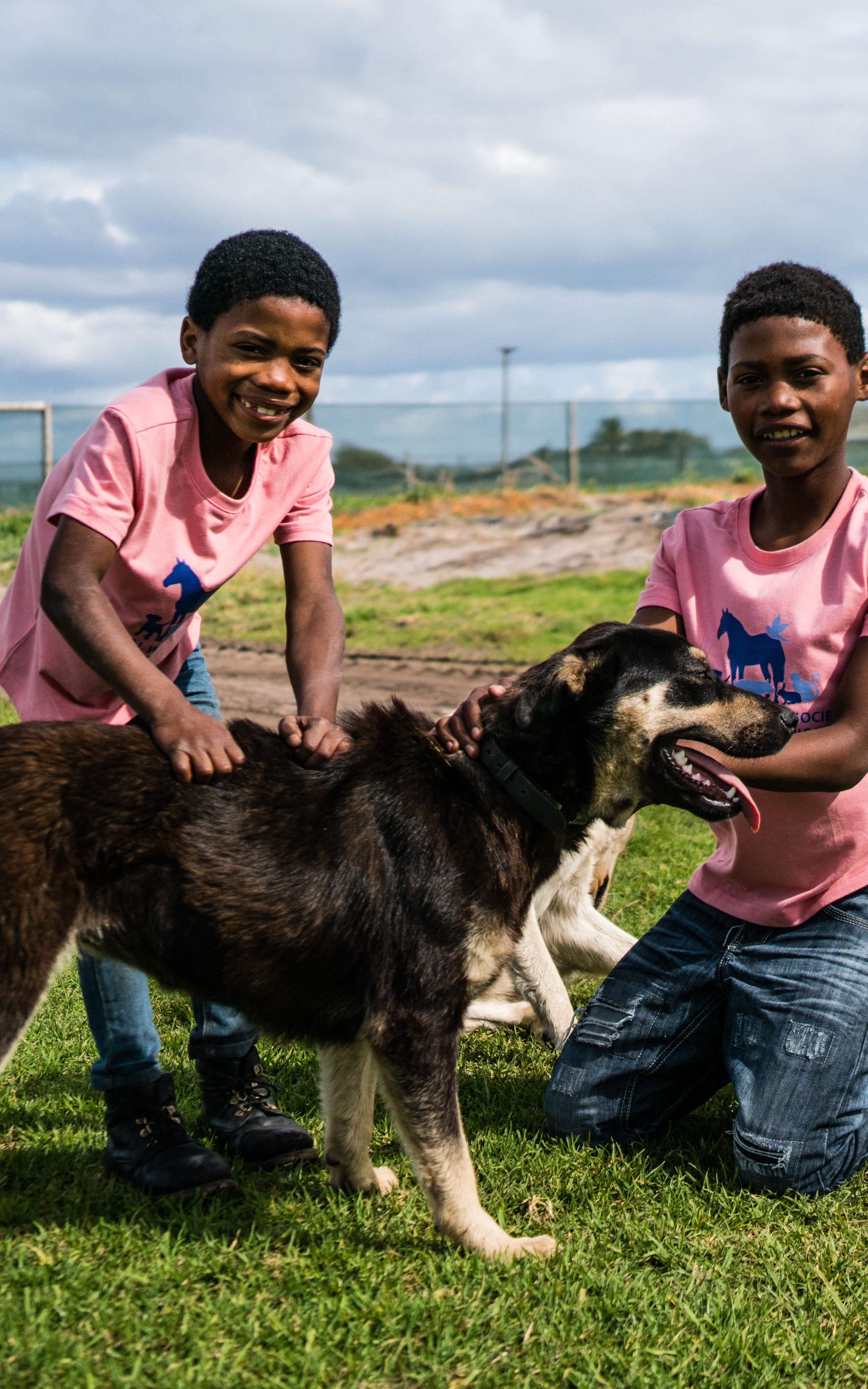 Walking 14 kilometres barefoot, with only the hope of saving a dog’s life