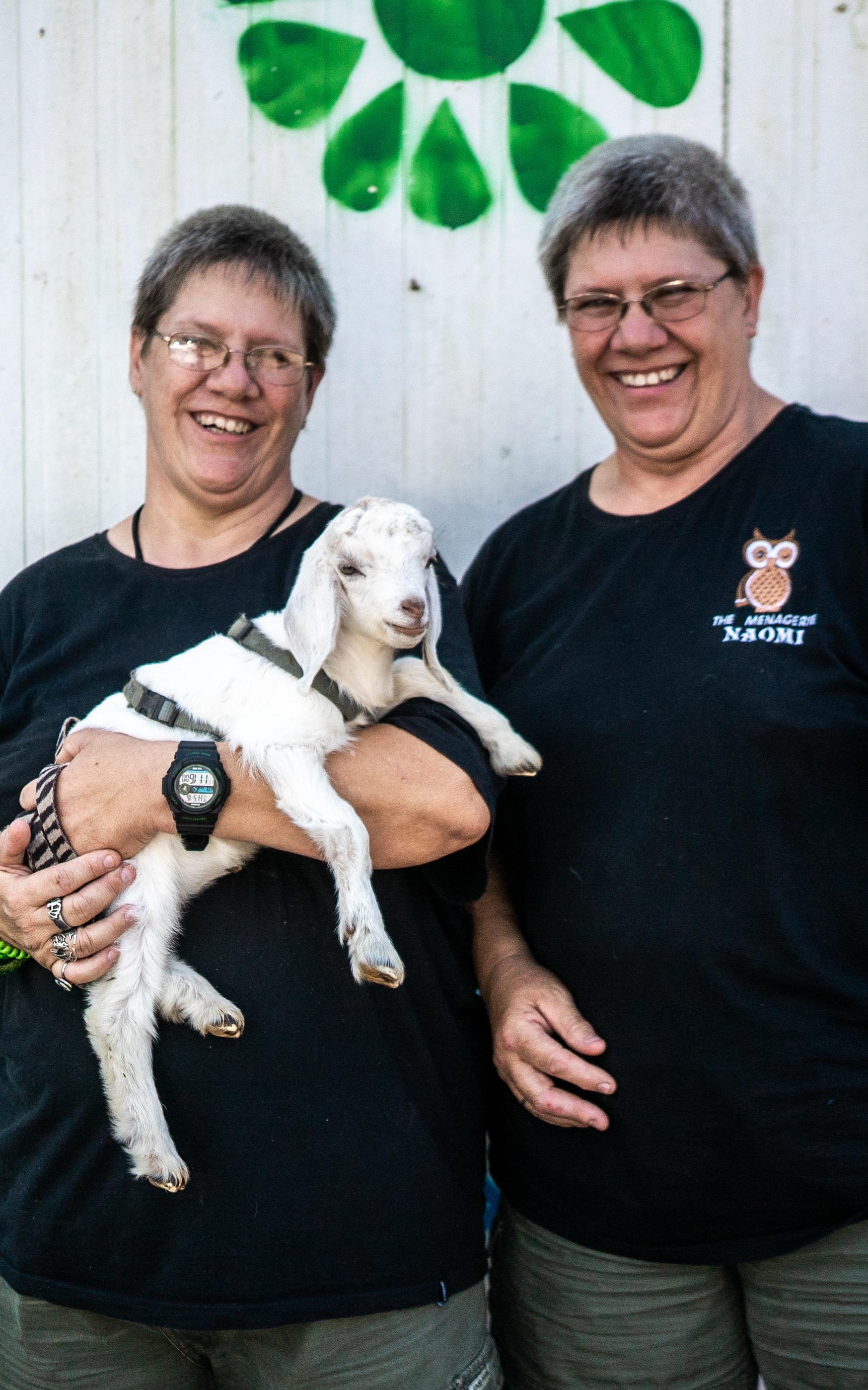 Helping out animals