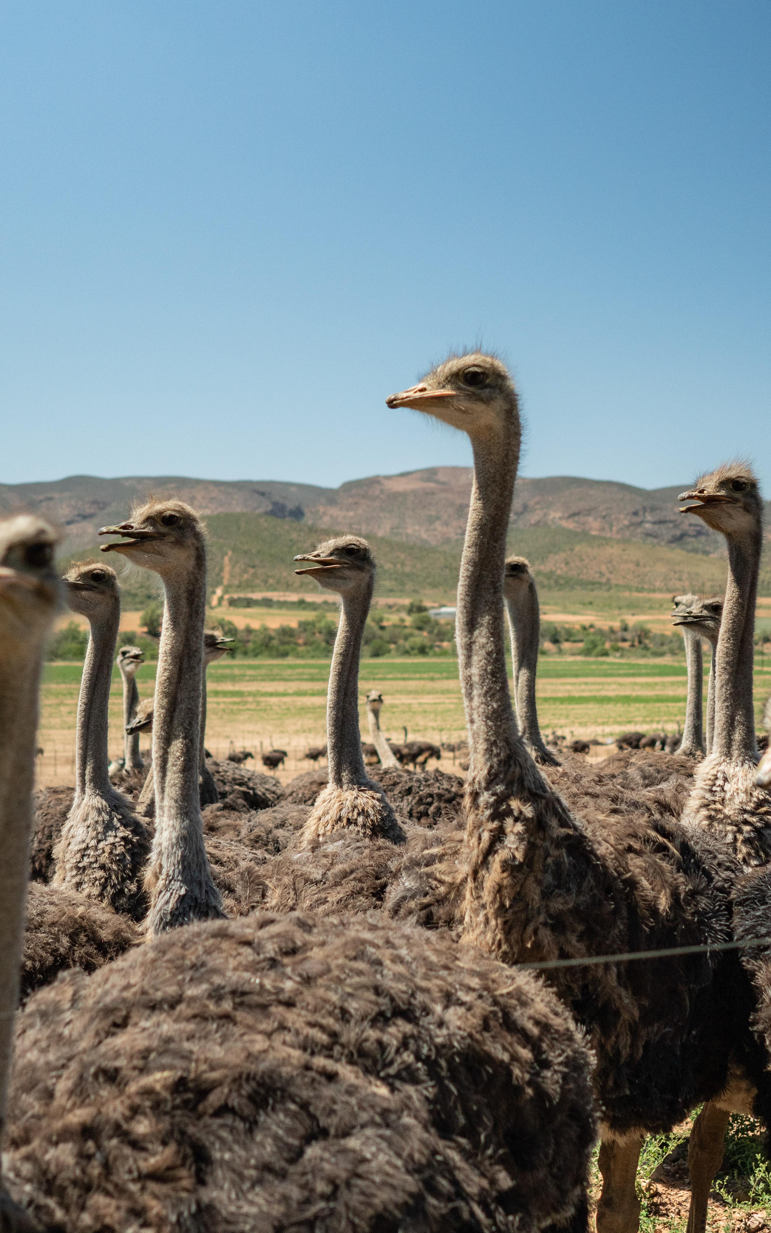 Beautiful News Week 50 2020