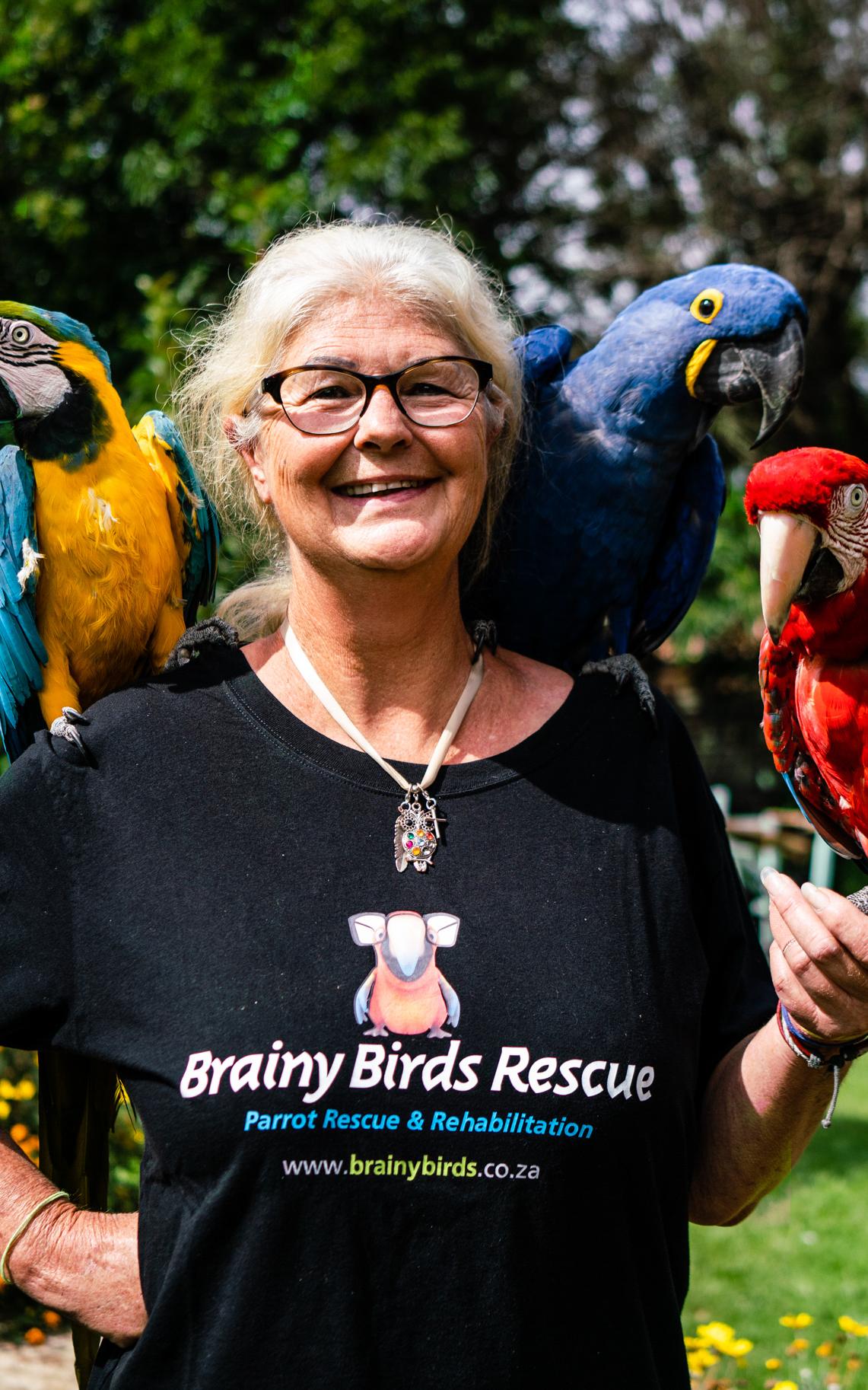 Meet the parrot rescuer giving hope to abused birds 