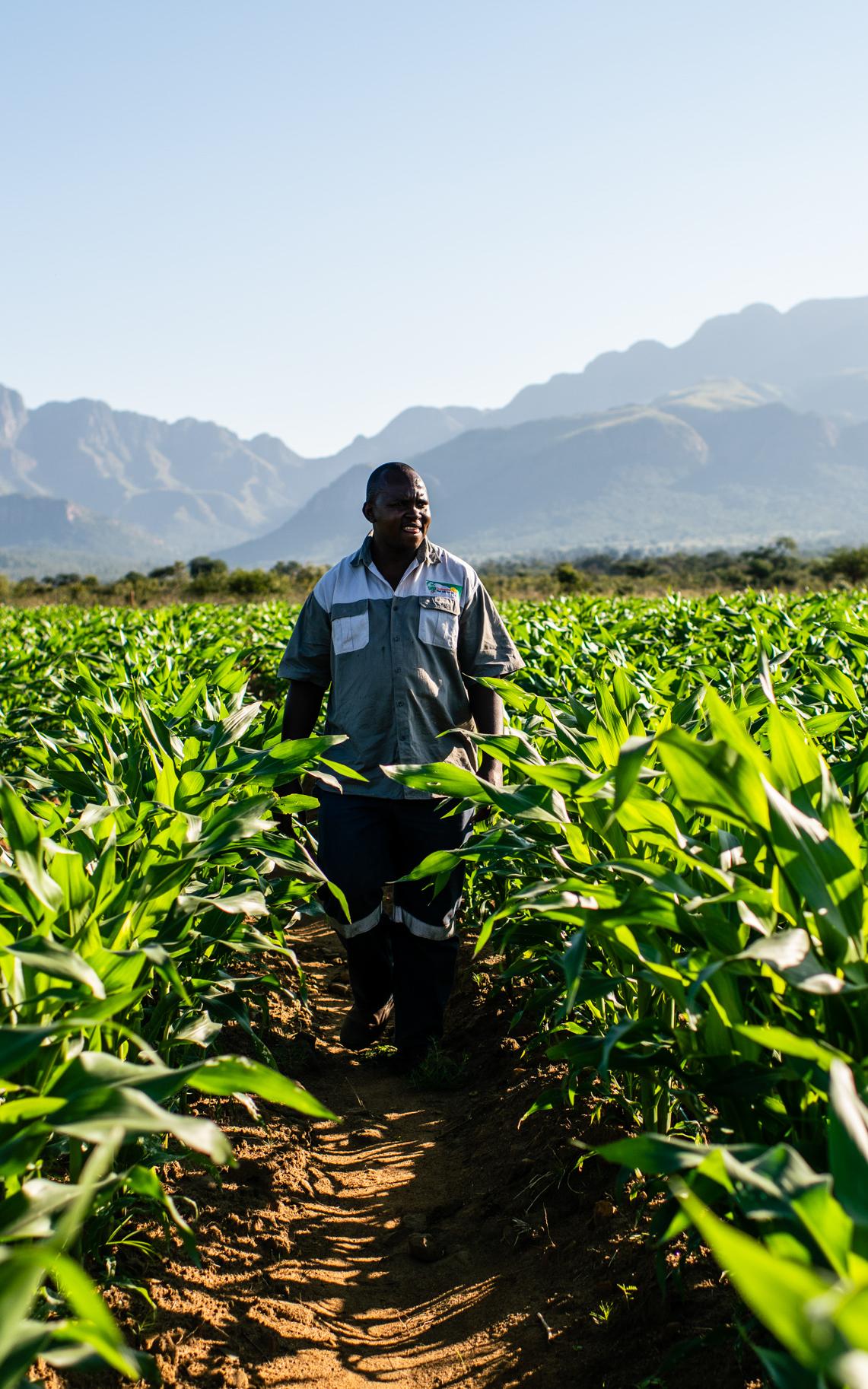 fighting hunger with farming.