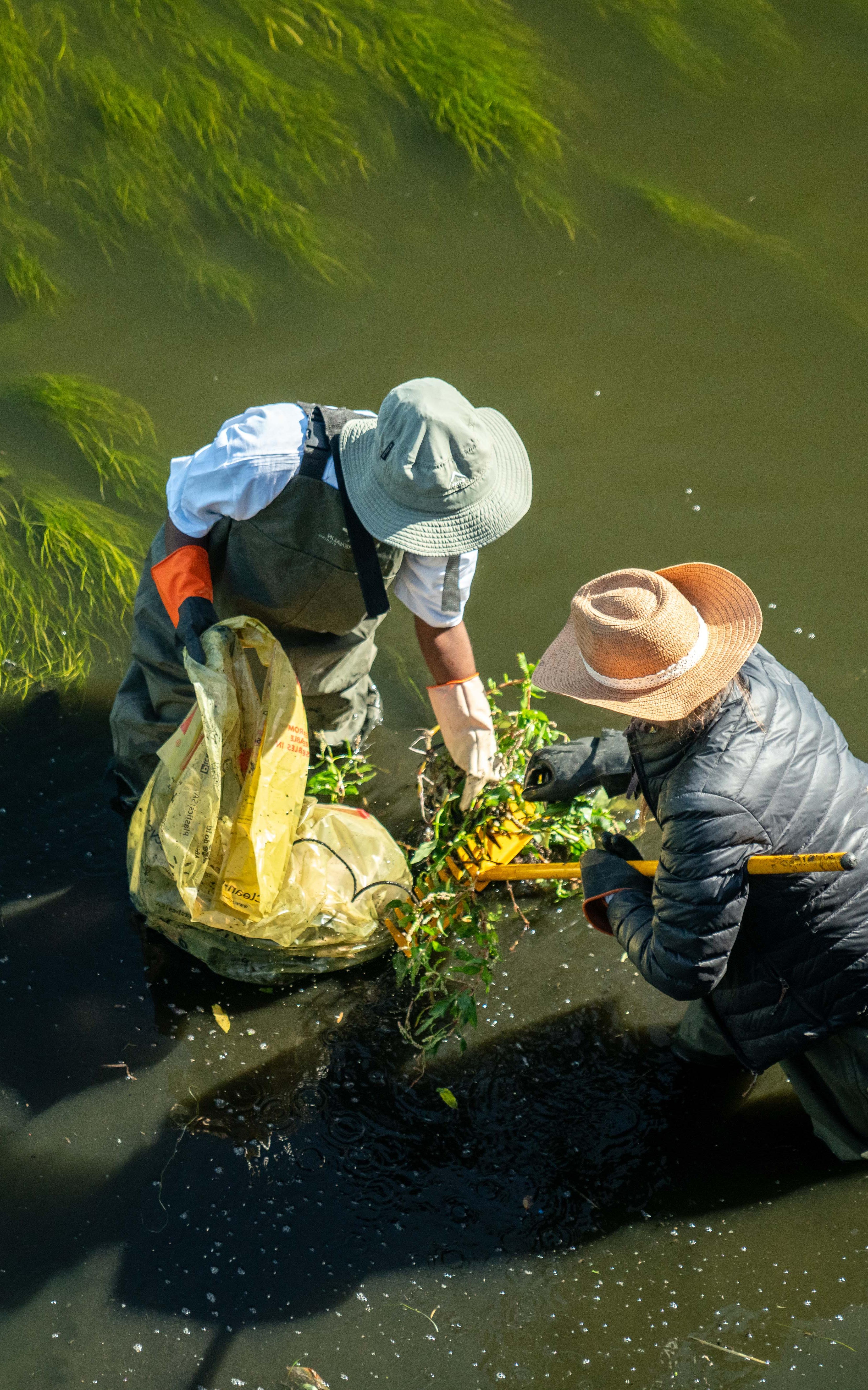 River cleanup