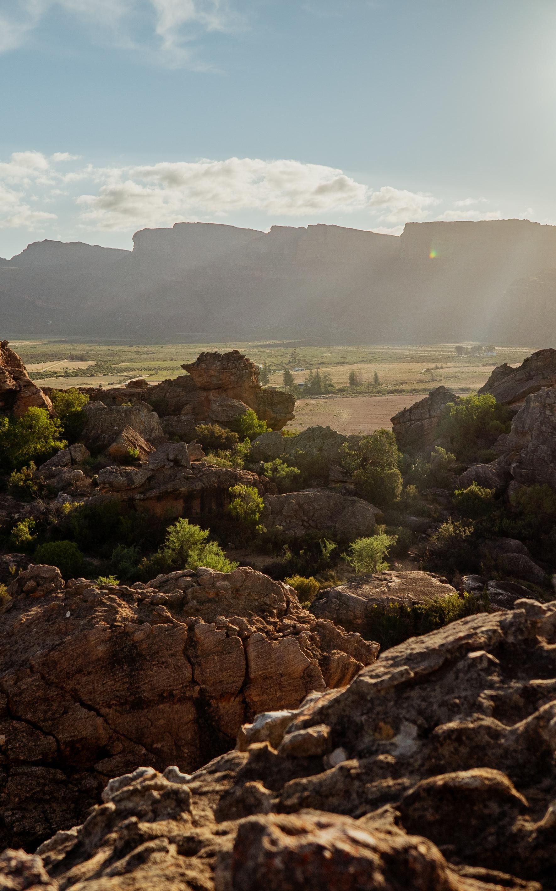 Explore the beauty of nature in Cederberg