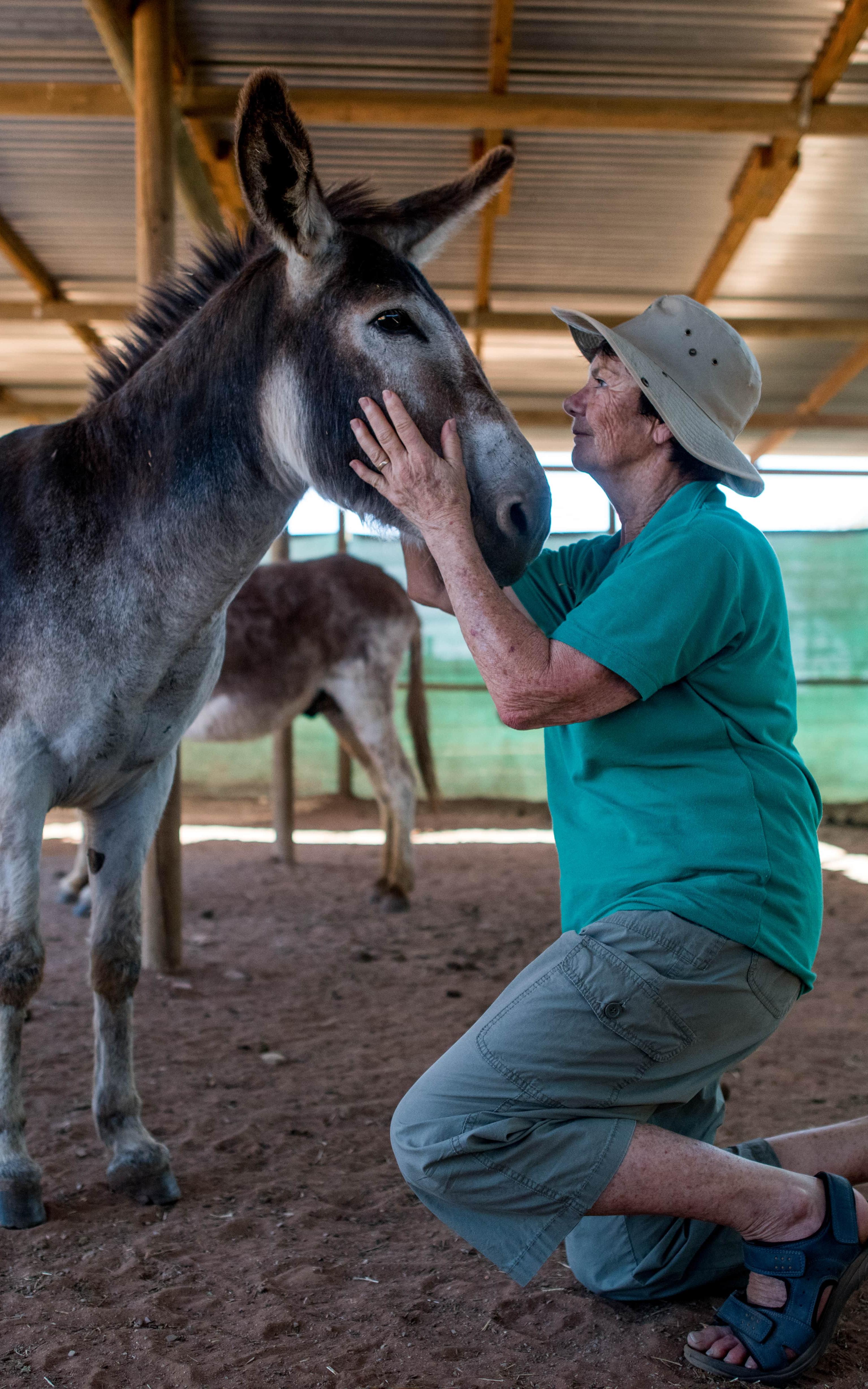 Woman with a donkey