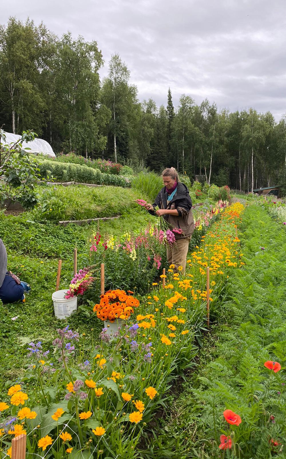 Beautiful News-Woman in garden.