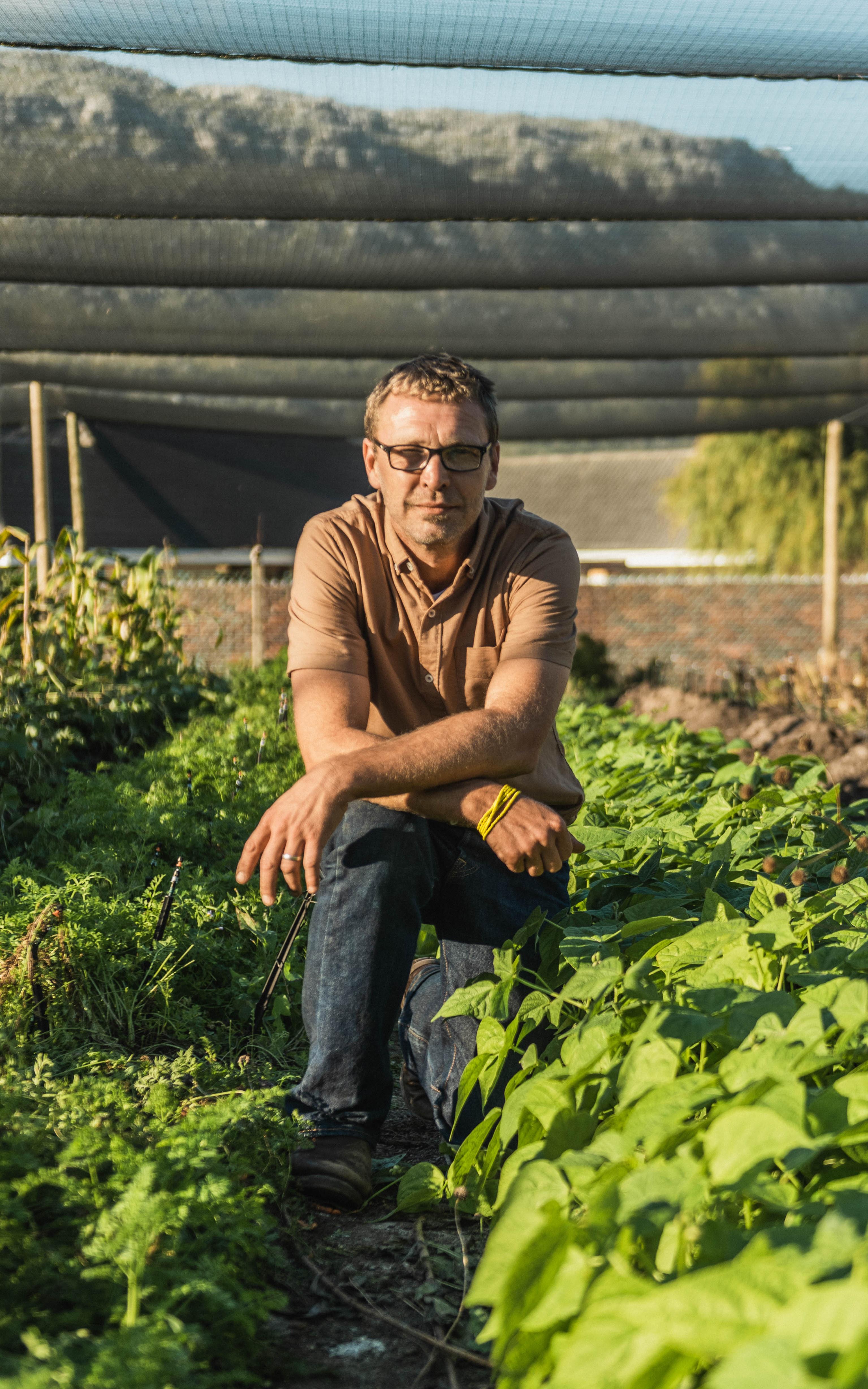 Citywide responses to farming