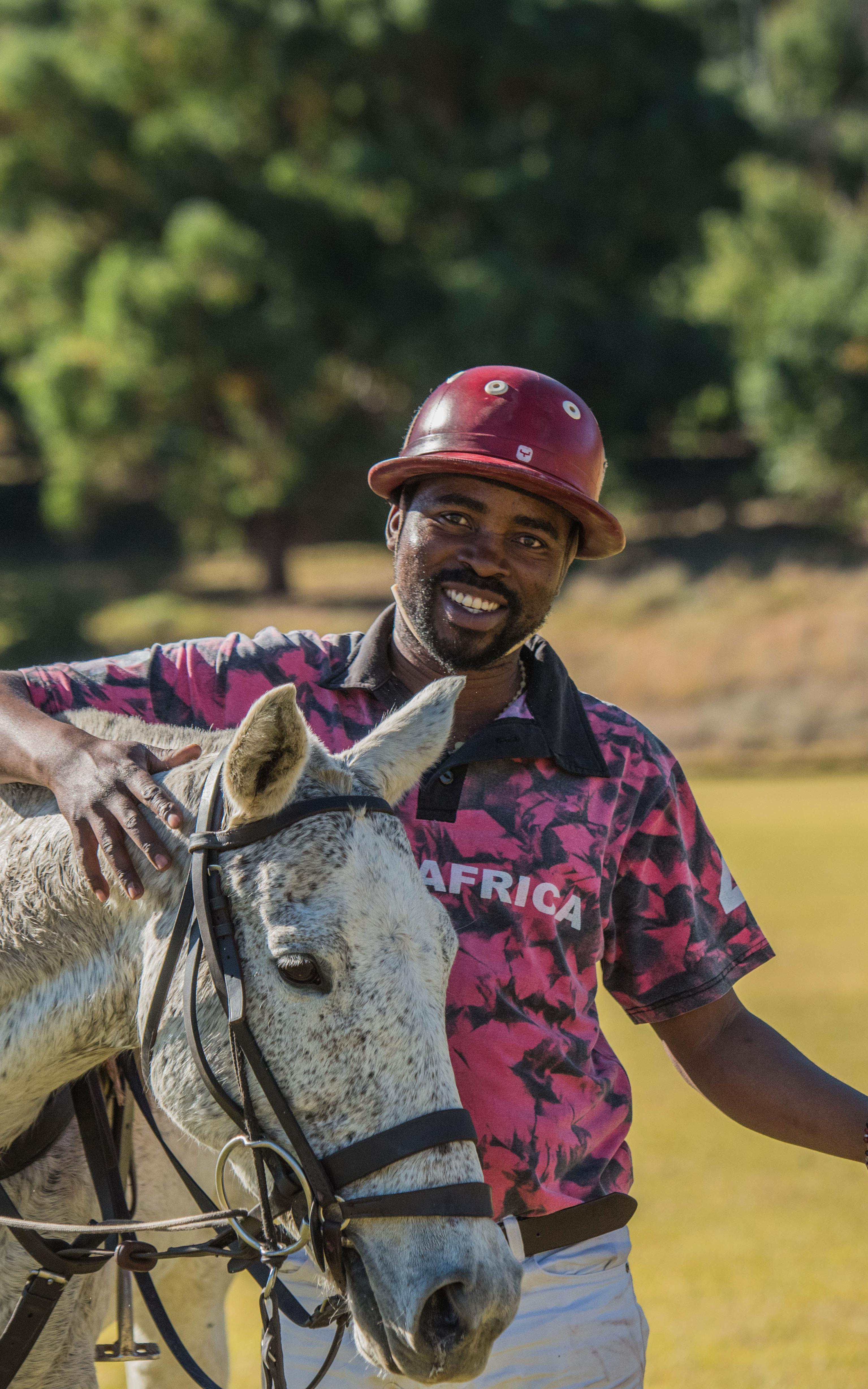Horse rider next to a horse.
