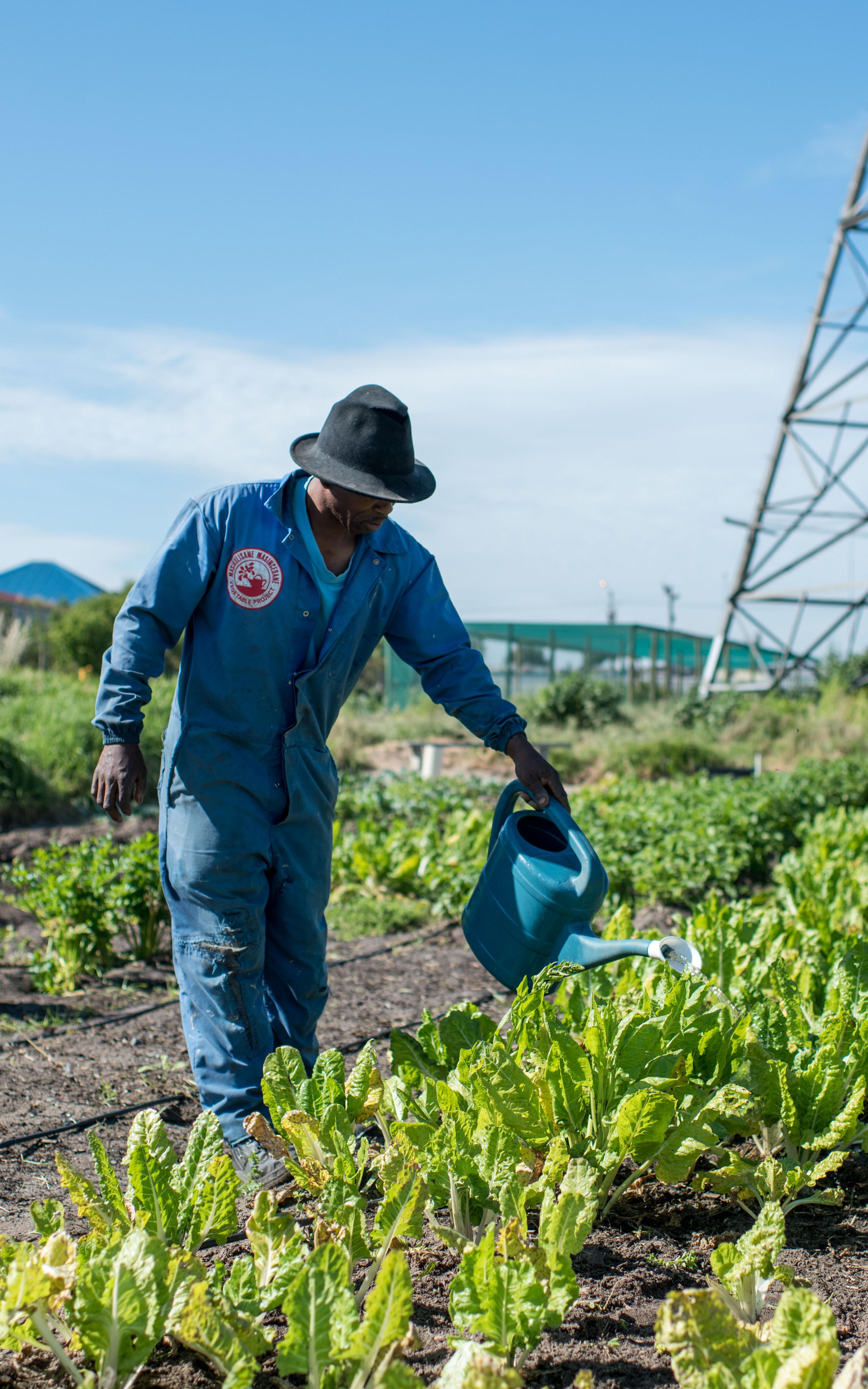 Meet the farmer uprooting expectations and planting a vision in Gugulethu