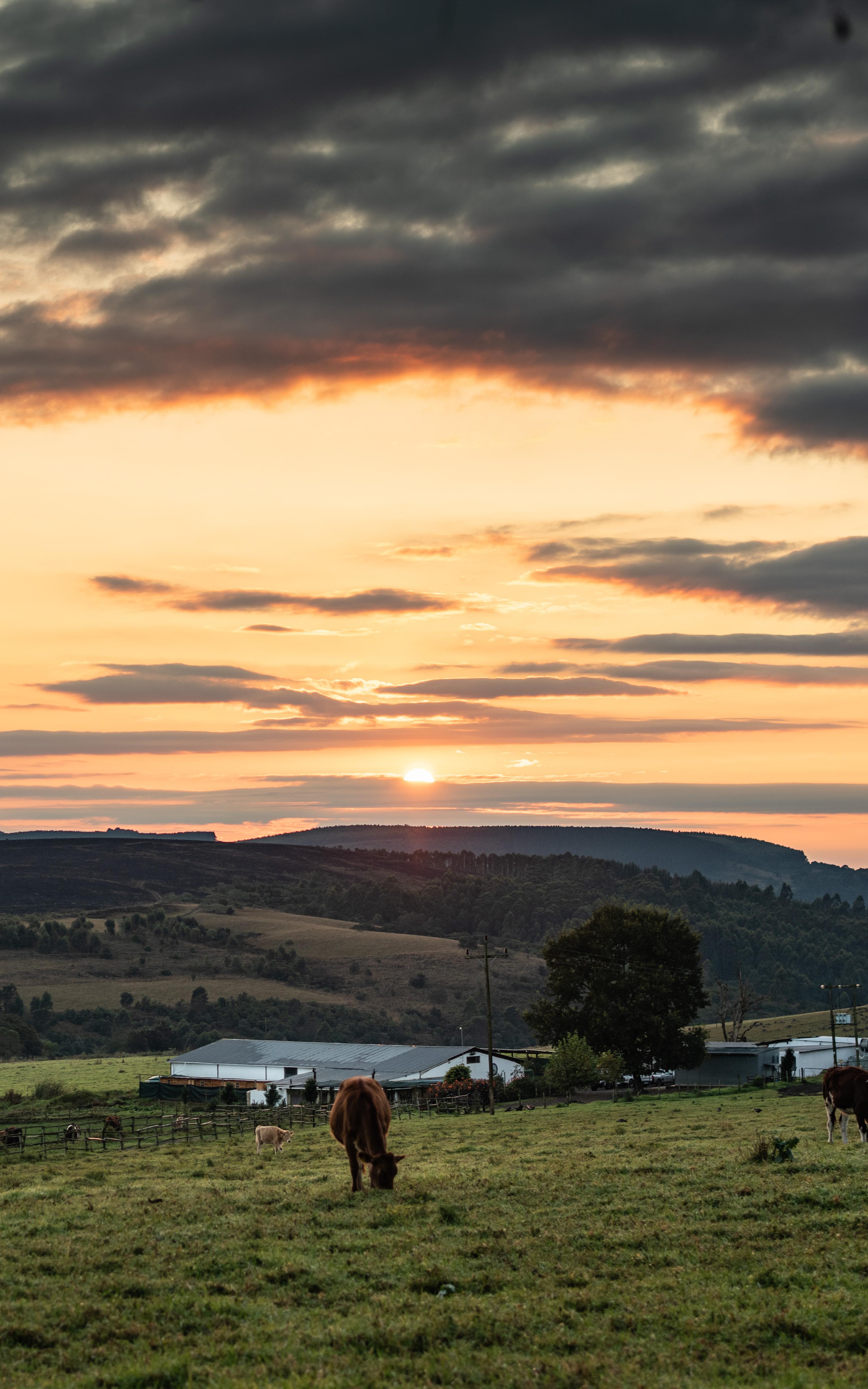 Howick