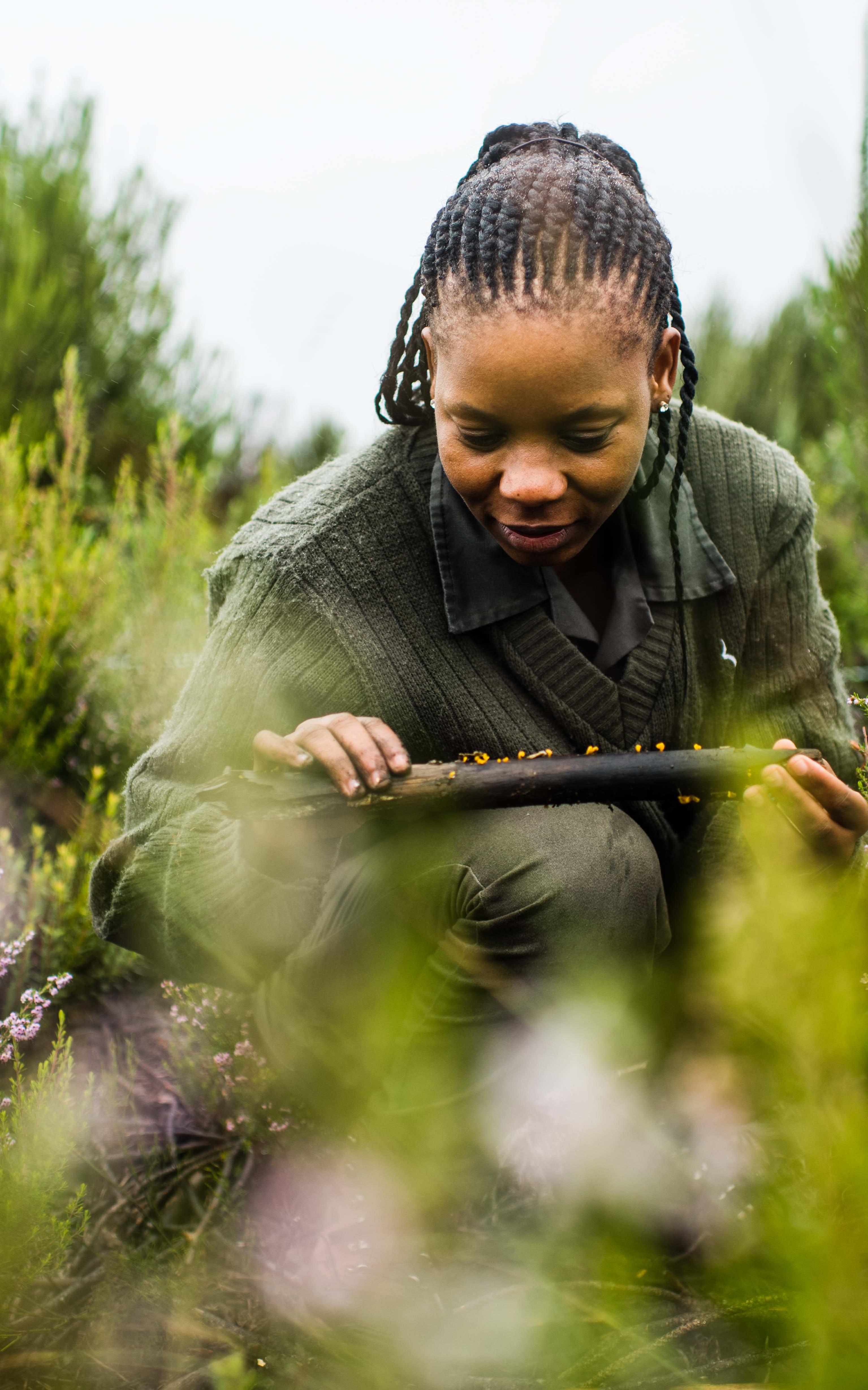 Woman examining plants