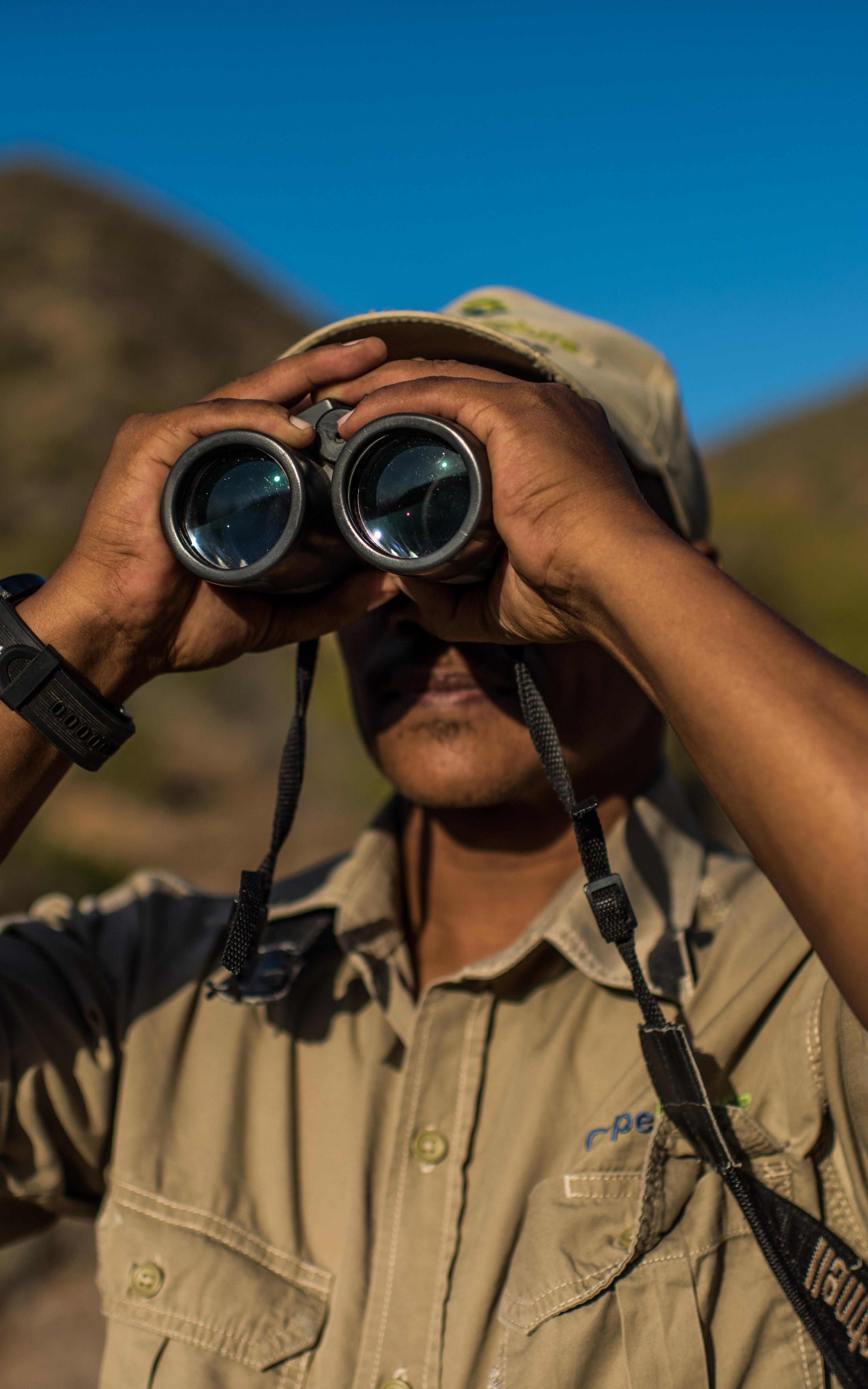 Ranger looking through binoculars