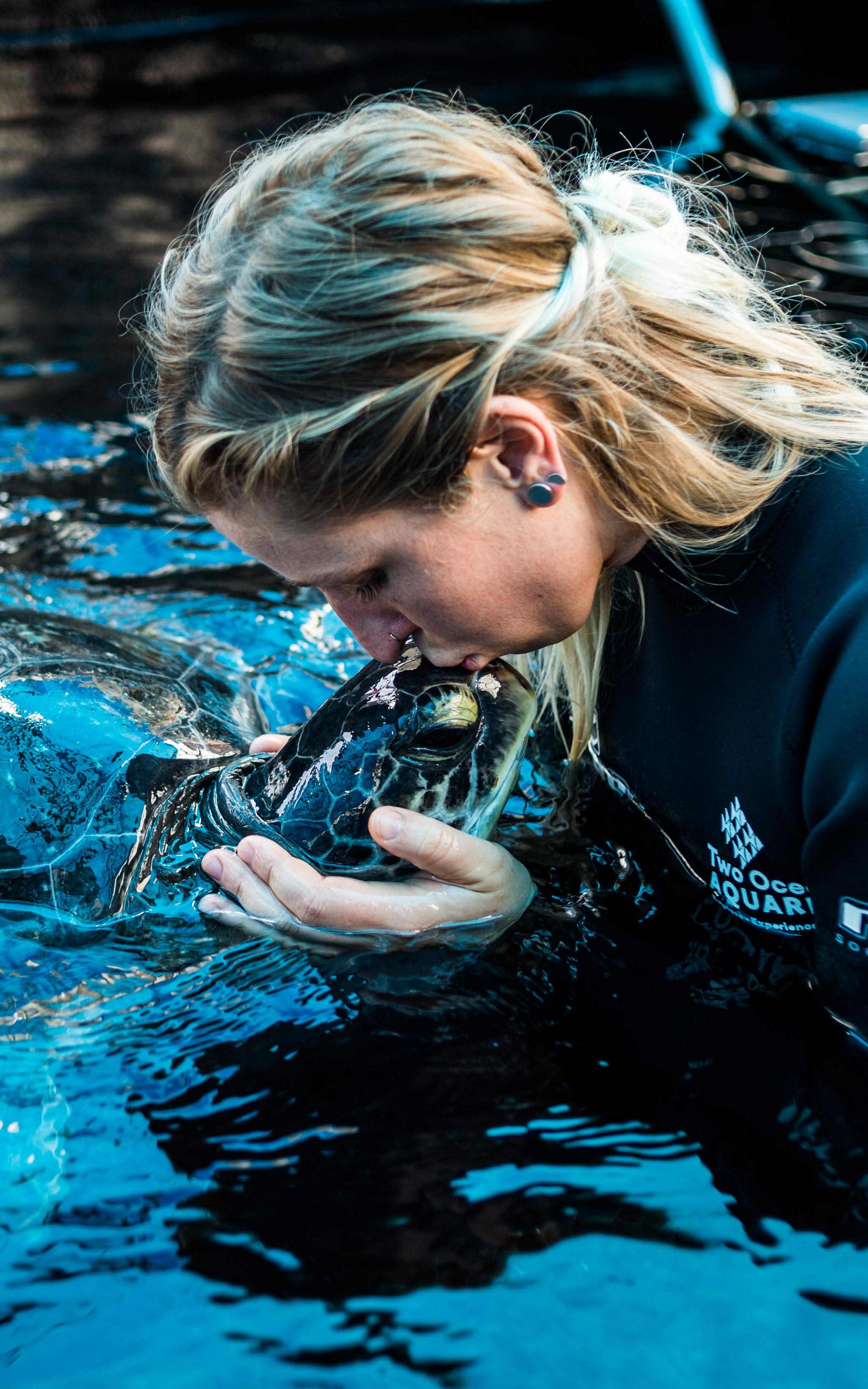 Plastic is killing turtles from the inside out. This woman is giving them a second chance at life
