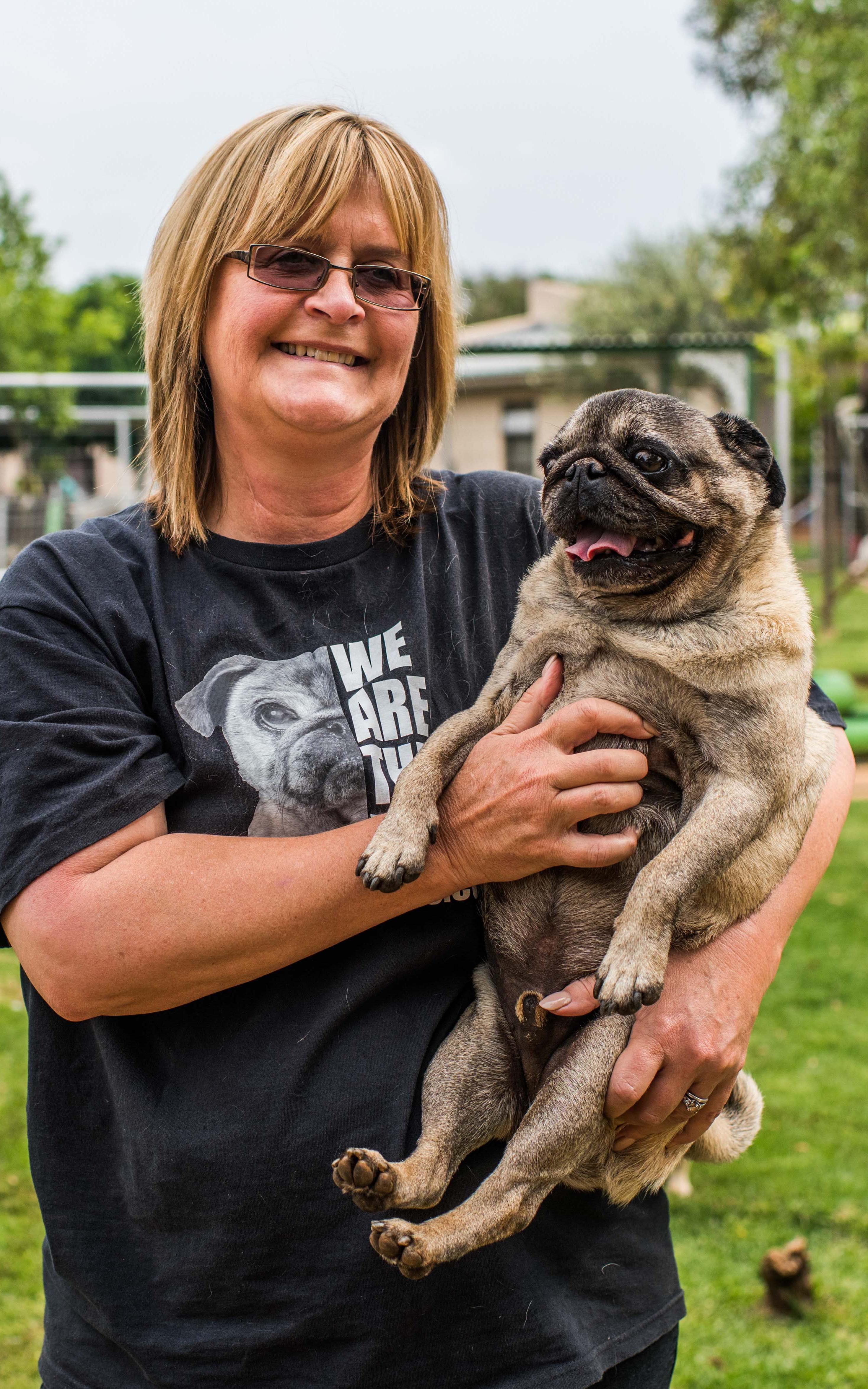 This woman is giving lost dogs a warm home