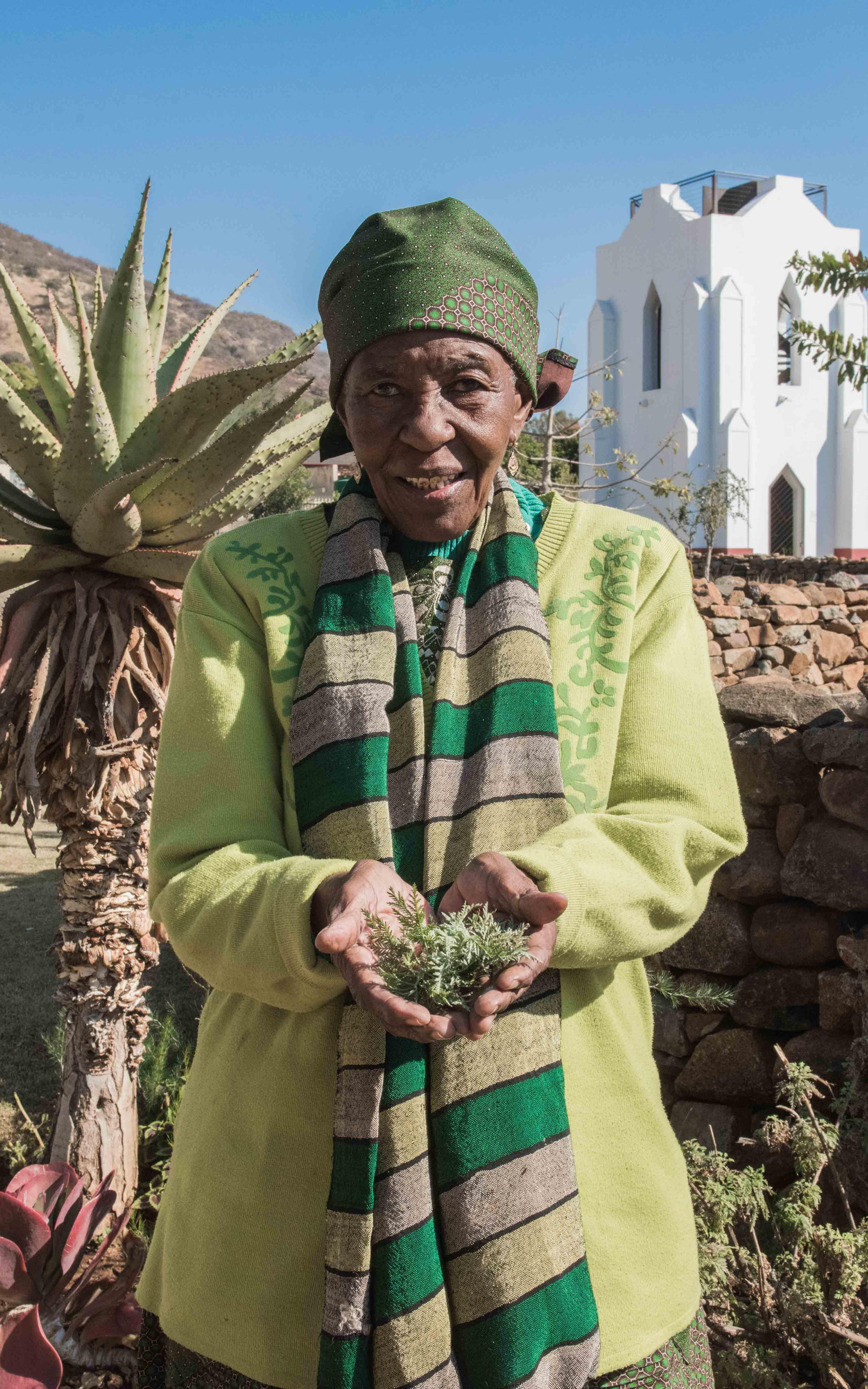 Old Lady. Holding Shrub.