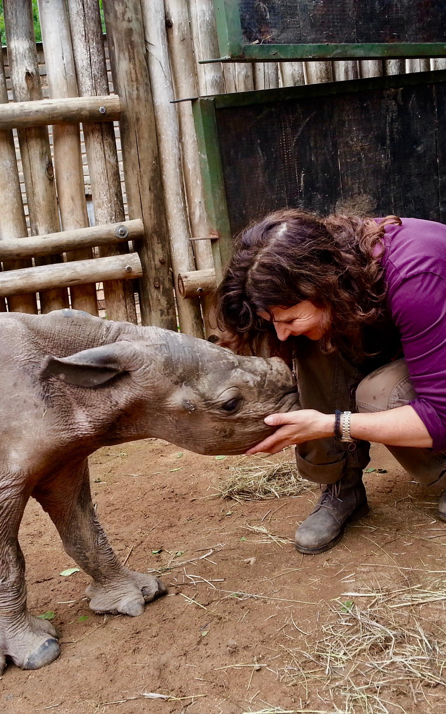 Beautiful News - Helena Kriel comforts a young rhino