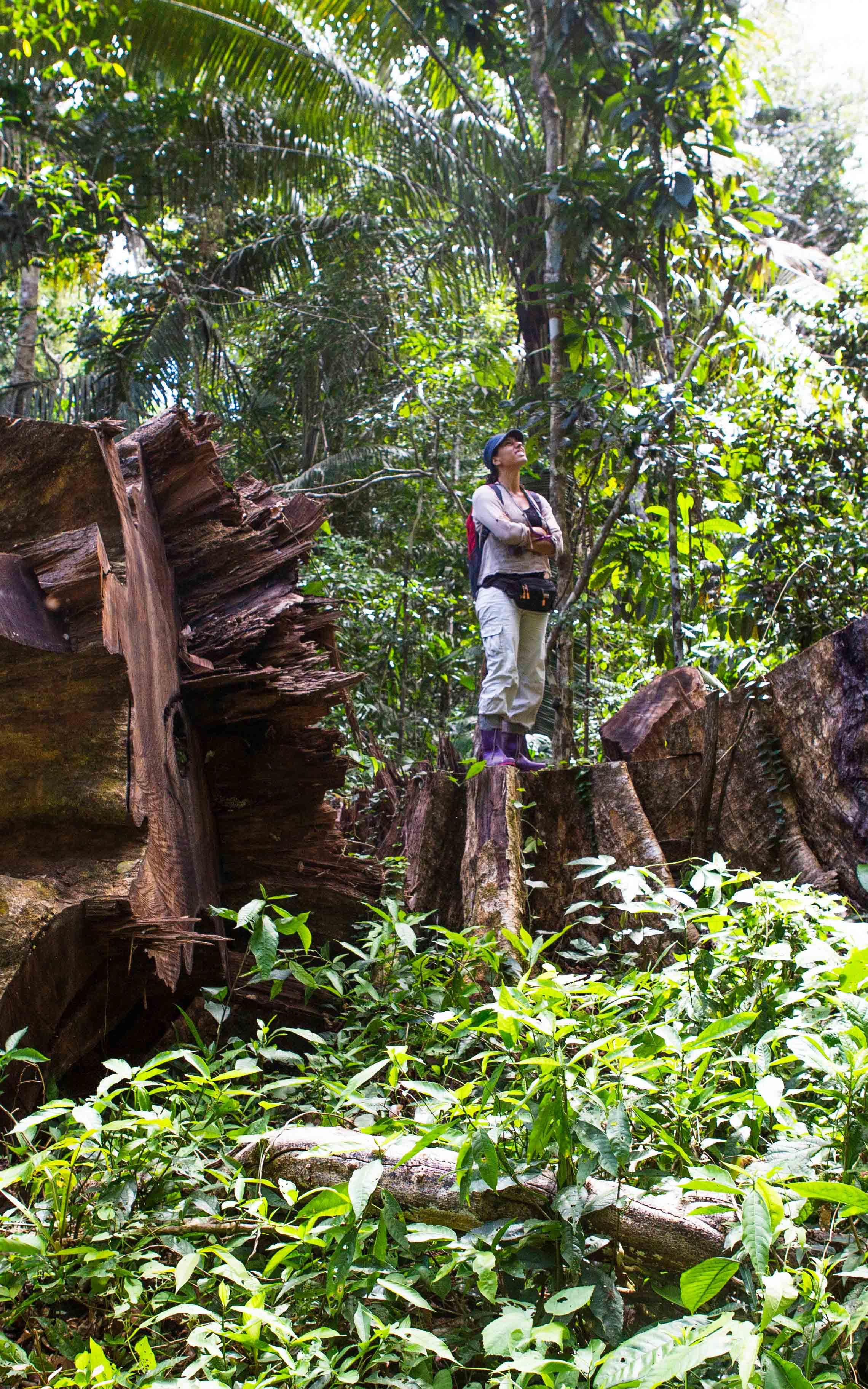 Beautiful News-Man standing on log in forest. 
