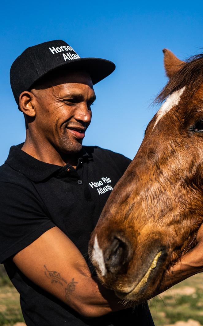 taking care of horses helping him to take care of himself.