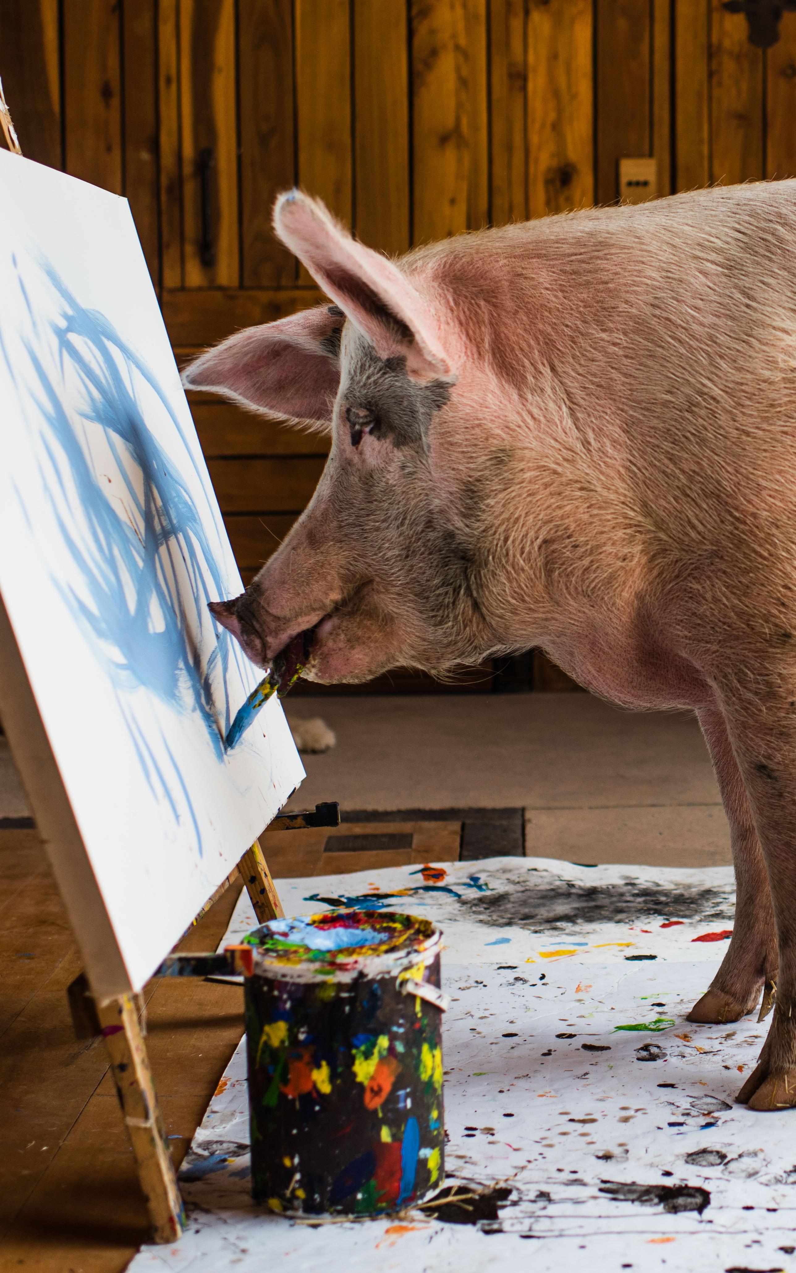 Pig painting