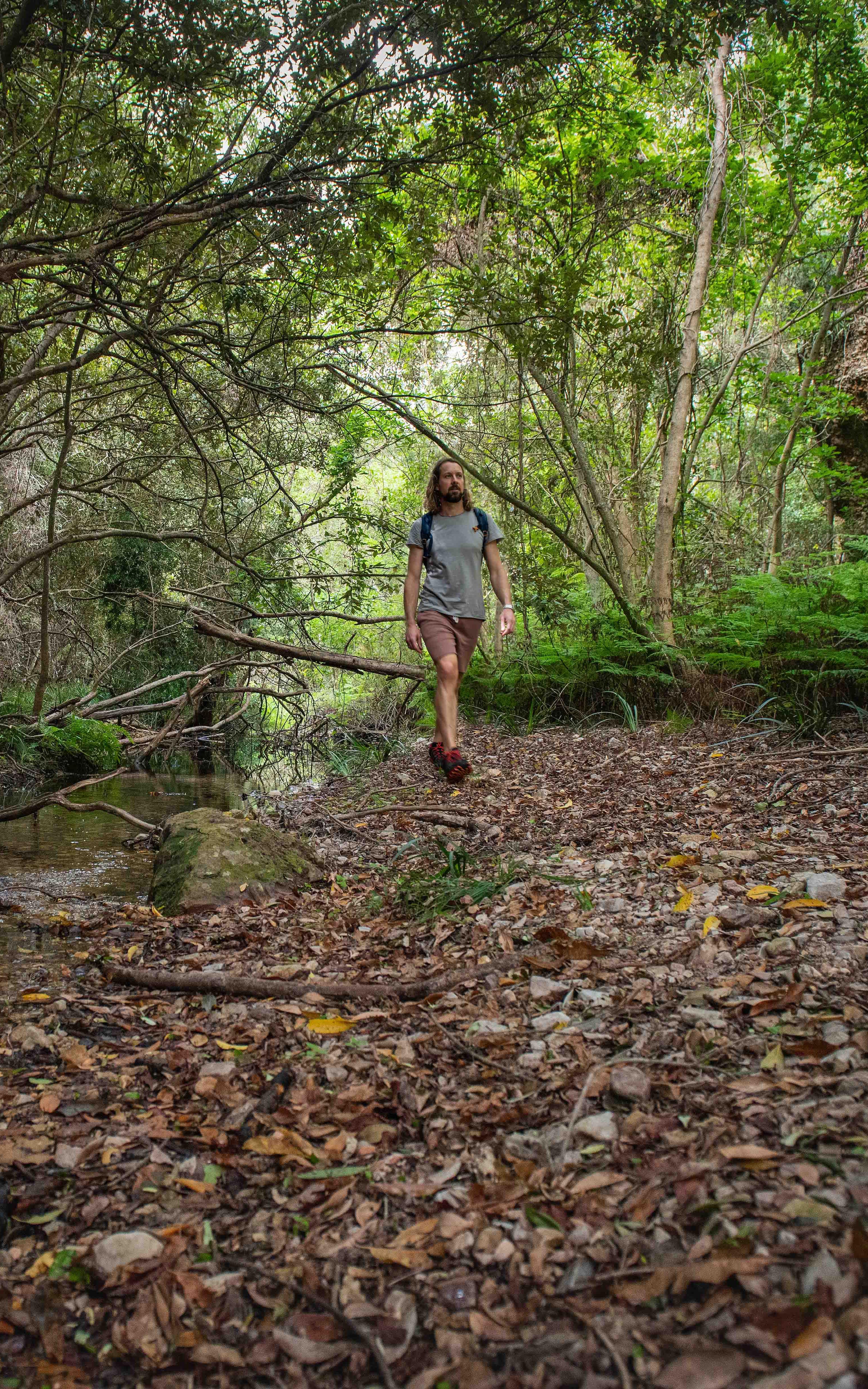 Man walking in the woods