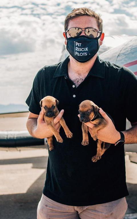 Beautiful News - Julian Javor of Pet Rescue Pilots holds two puppies alongside an aeroplane