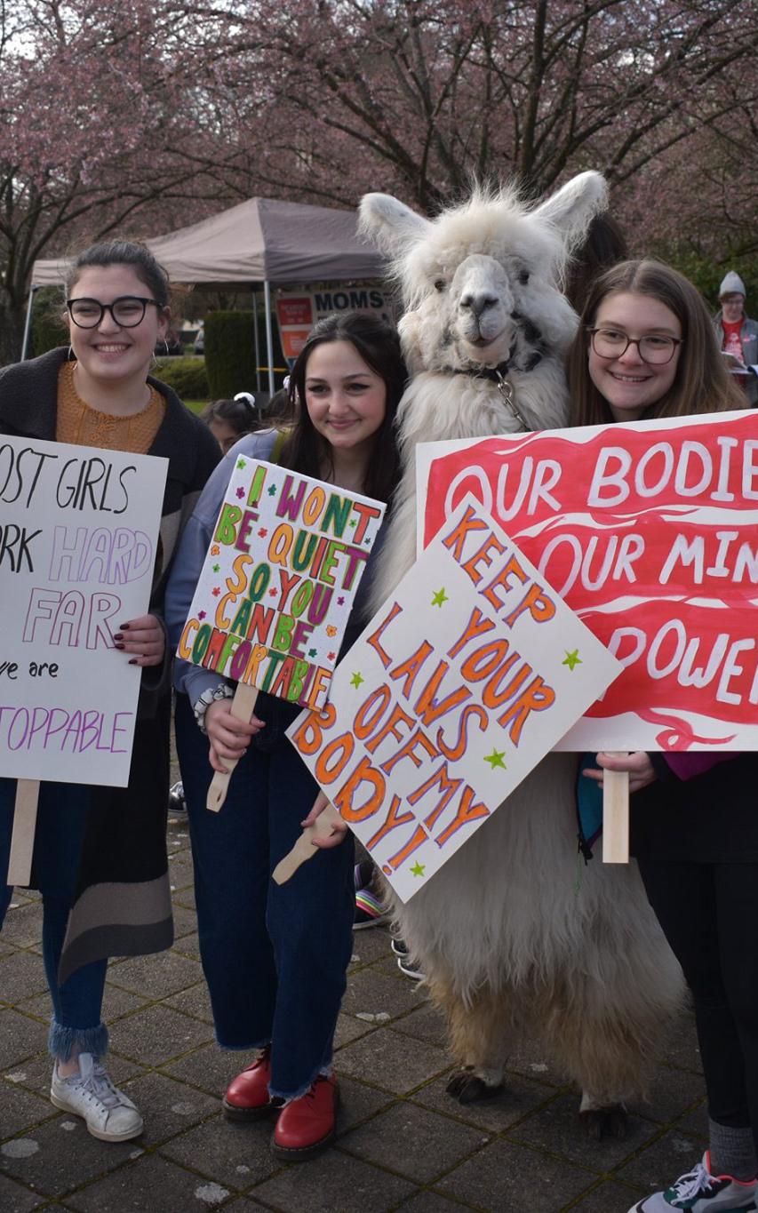 beautiful news positive good happy inspiration motivation llama no drama