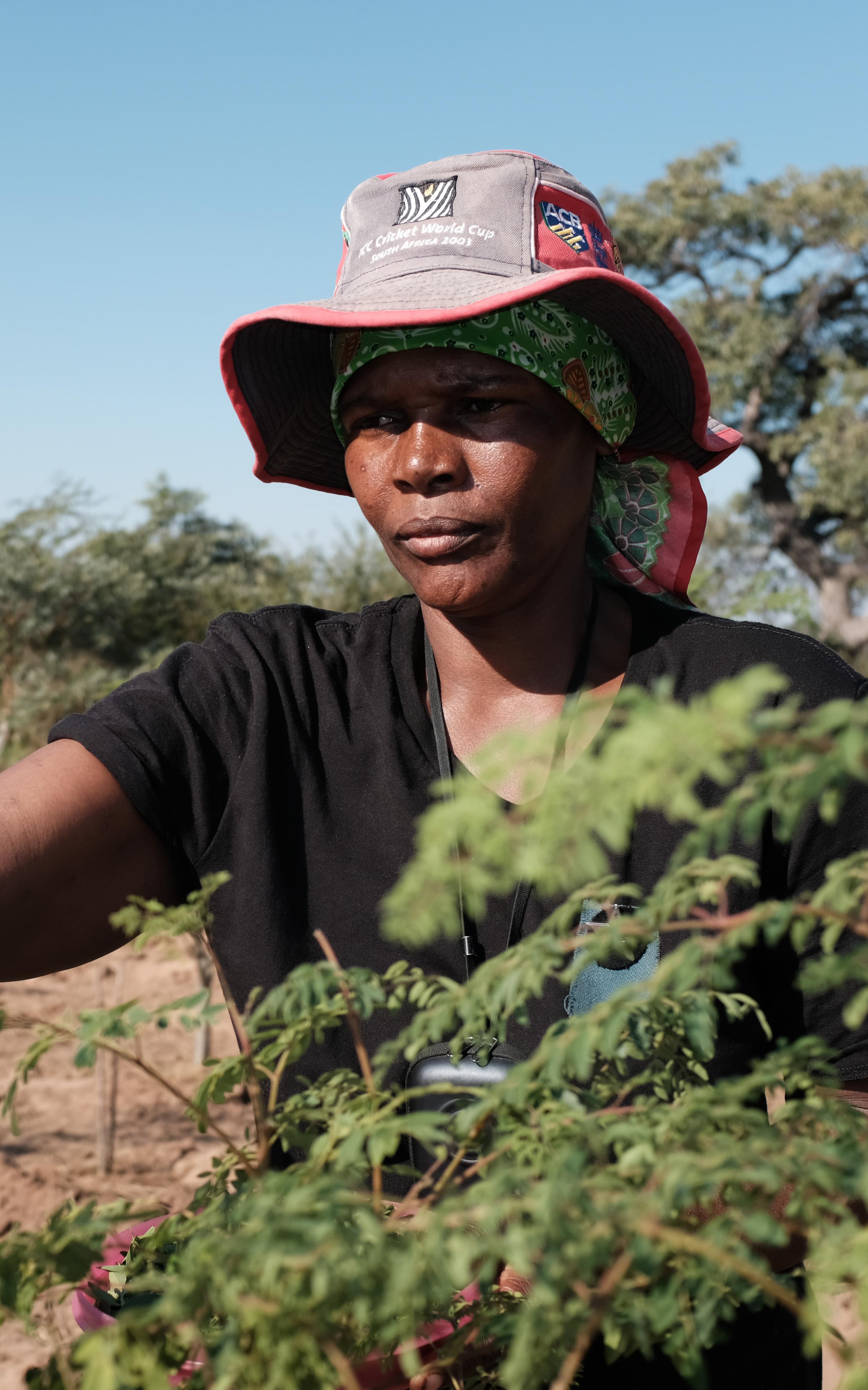 Women in nature. 