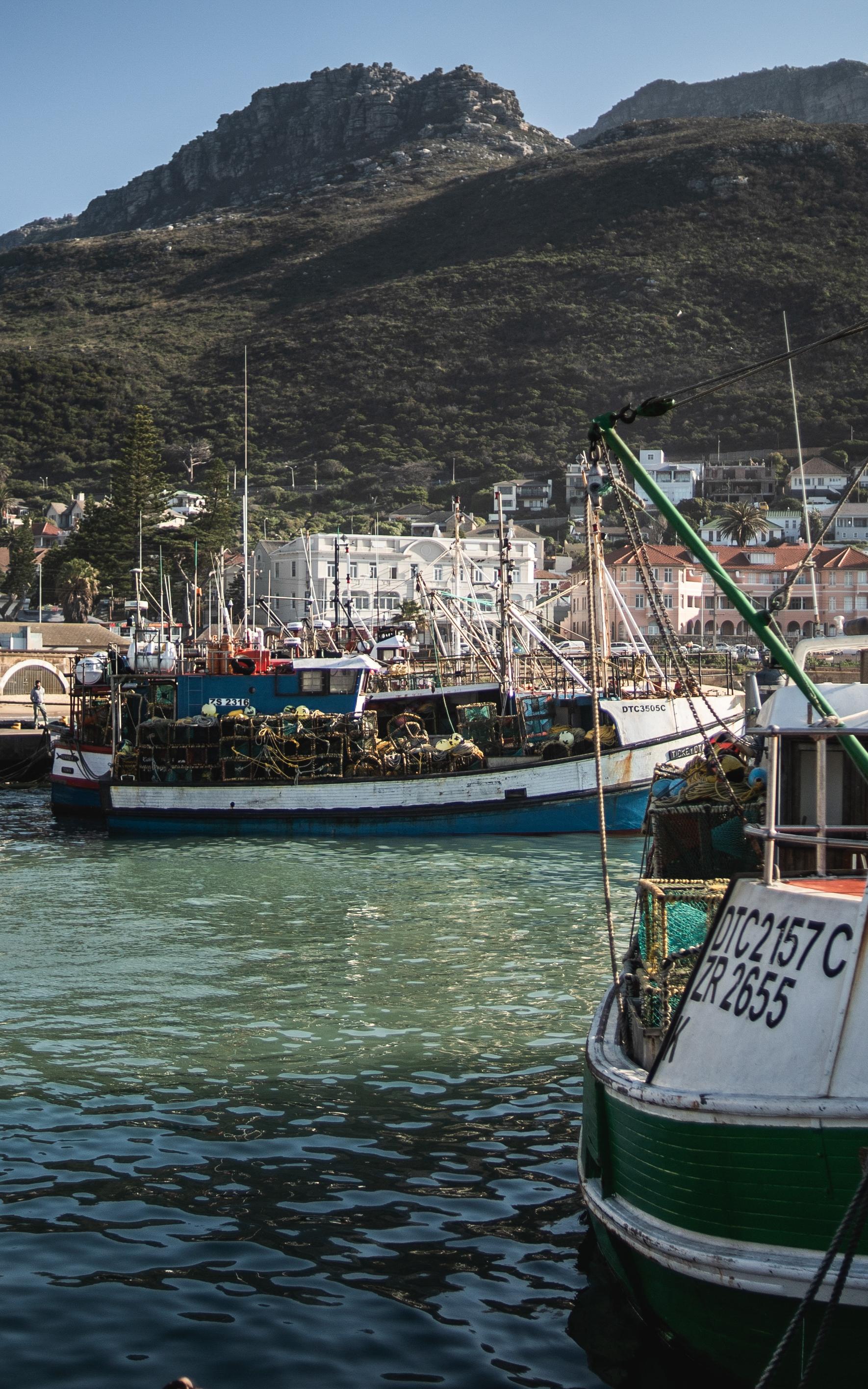 Boats in the water