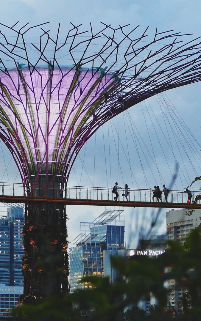 beautiful news singapore