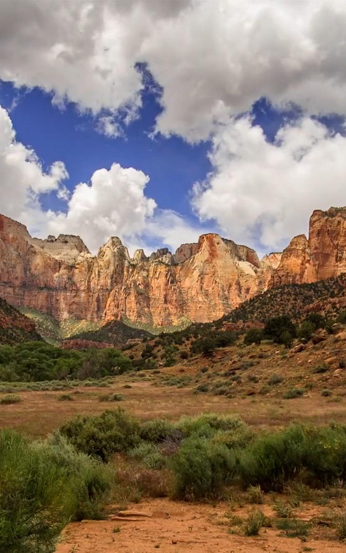 beautiful news zion national park