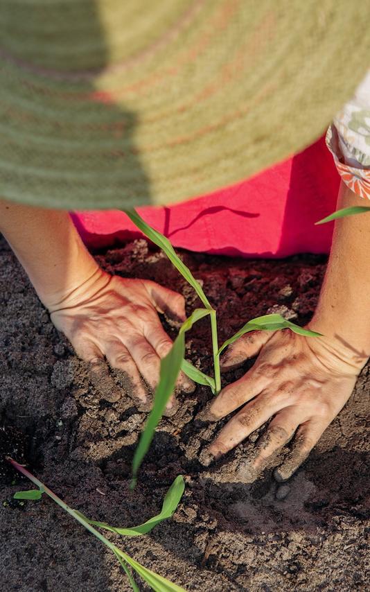 Meet Florida’s seed saver