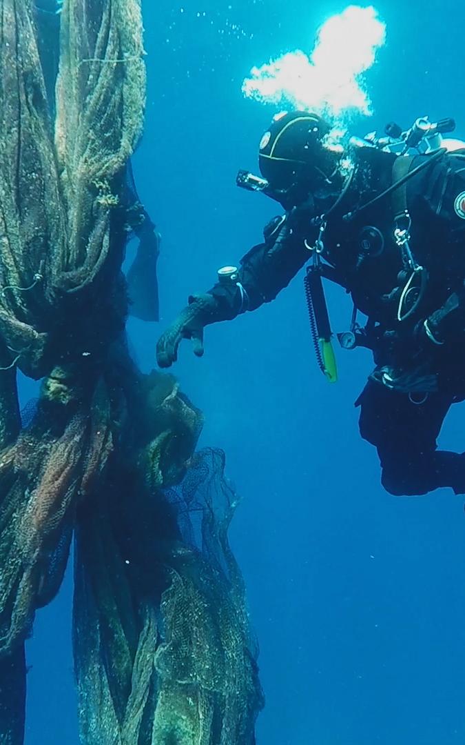 Beautiful News-Scuba diver inspecting nets
