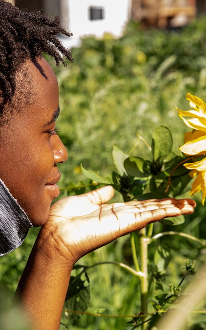 Beautiful News - Young person from Southside Blooms in Chicago looks admiringly at a sunflower
