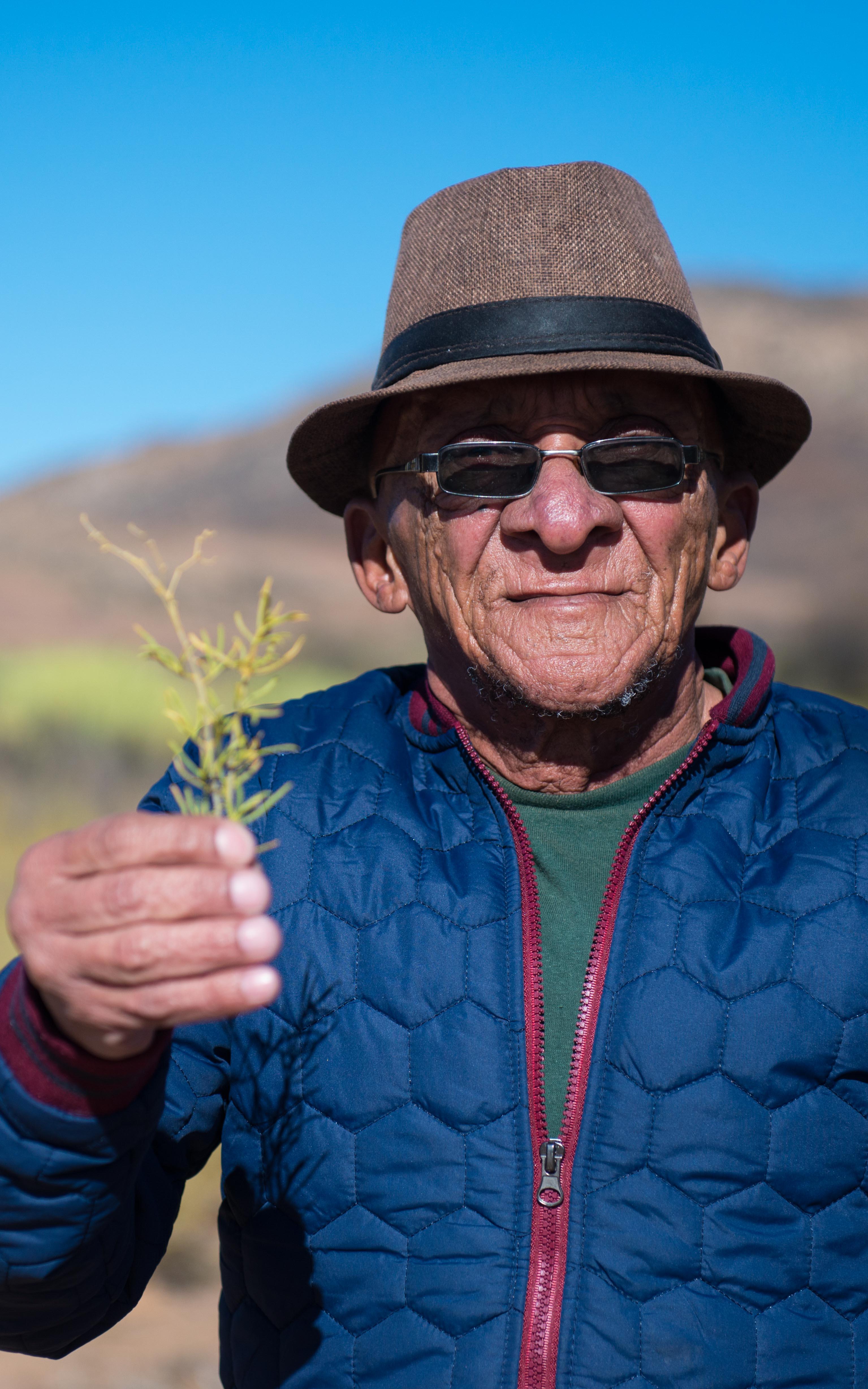 Old Man. Plant.