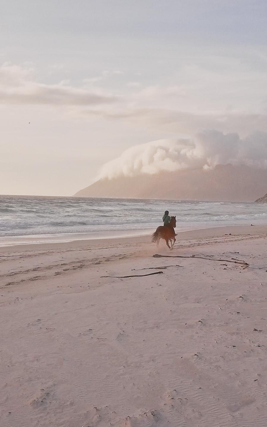 Man riding horse on beach