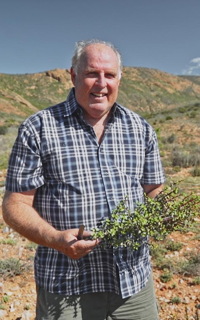 Man with Spekboom