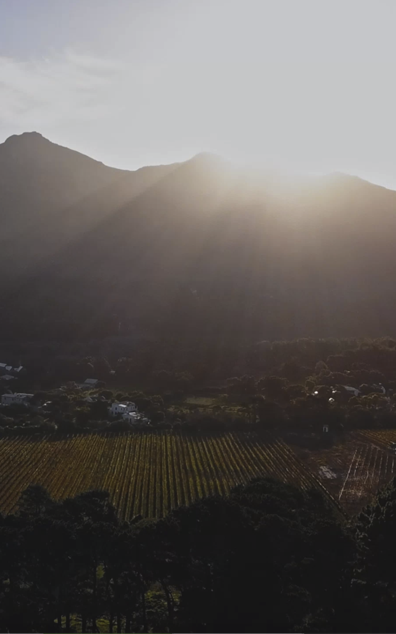 mountains.