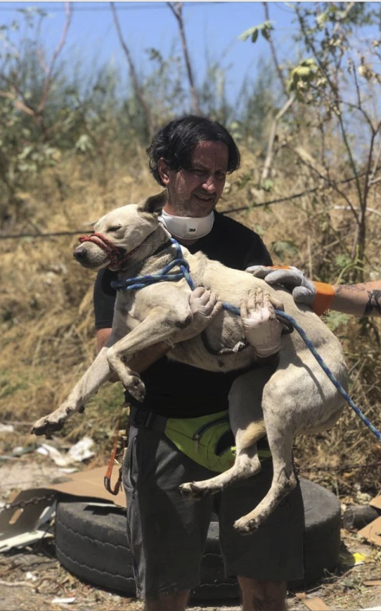 2 Men rescuing a dog