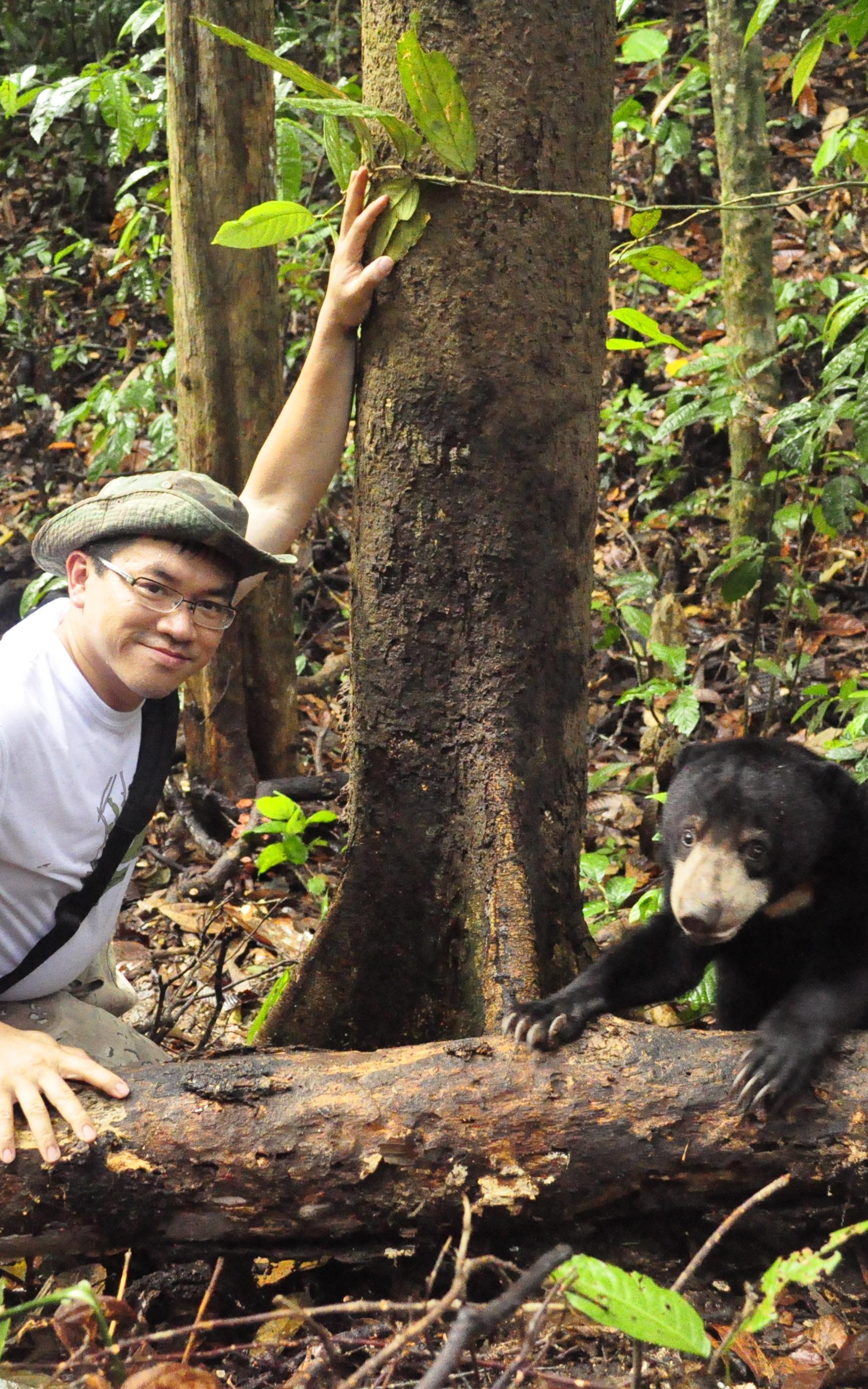 Beautiful News - Bornean Sun Bear Conservation Centre - Wong Siew Te