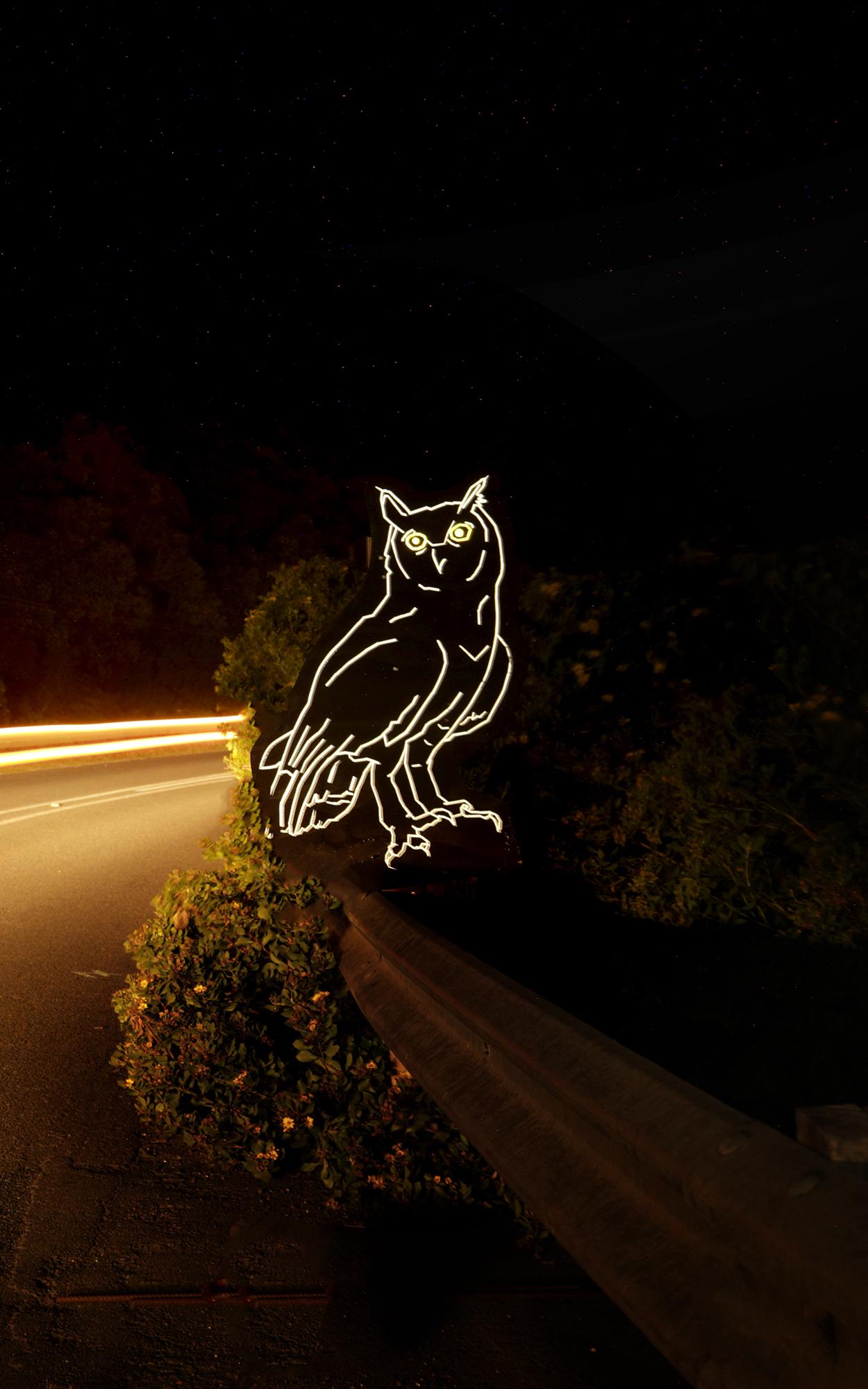 Beautiful News- Owl reflectors