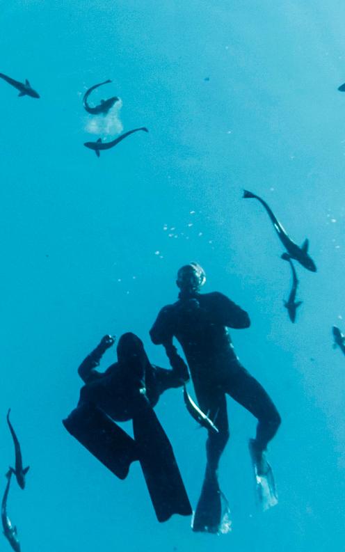 Two people diving in the sea surrounded by fish